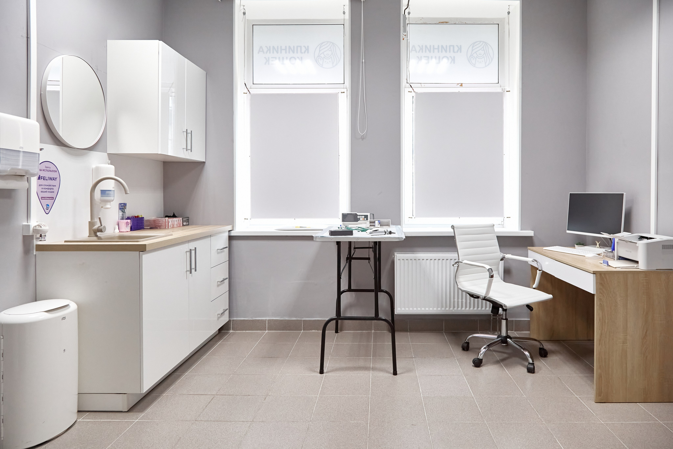 Клиника кошек. Фотограф Анастасия Леонтьева Санкт-Петербург