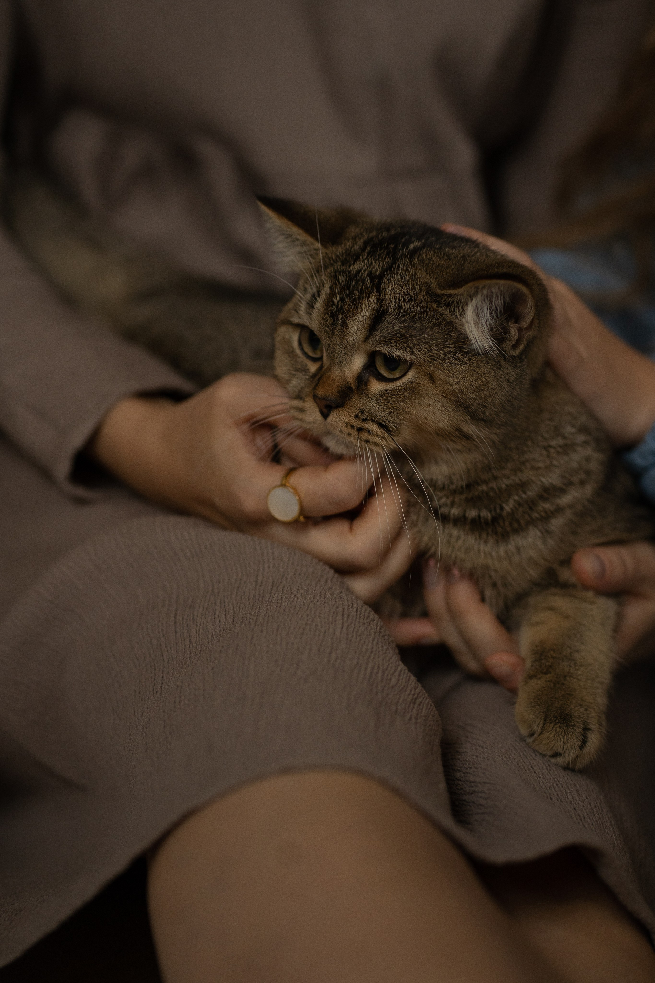 Семейная съемка для Галины. Фотограф Катя Стрельцова