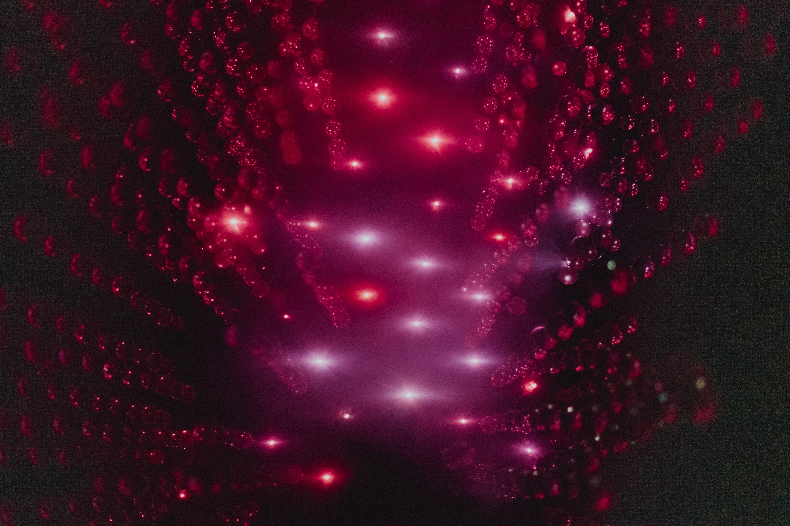 Съемка в музее Эрарта, U-space пространство «Вишневый сад»