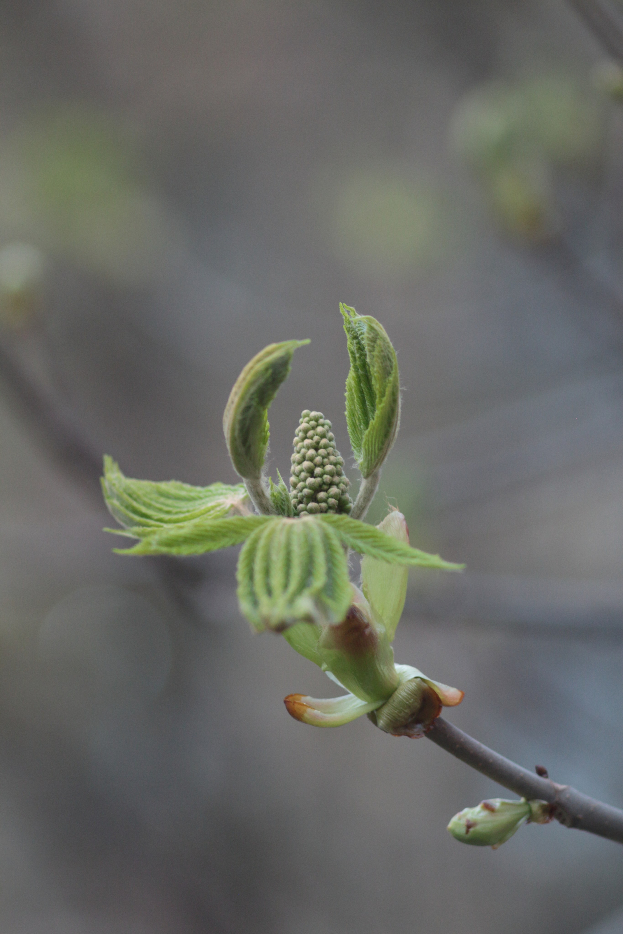 Старое природное, отбирала Katamount (Катерина Горохова). Главная