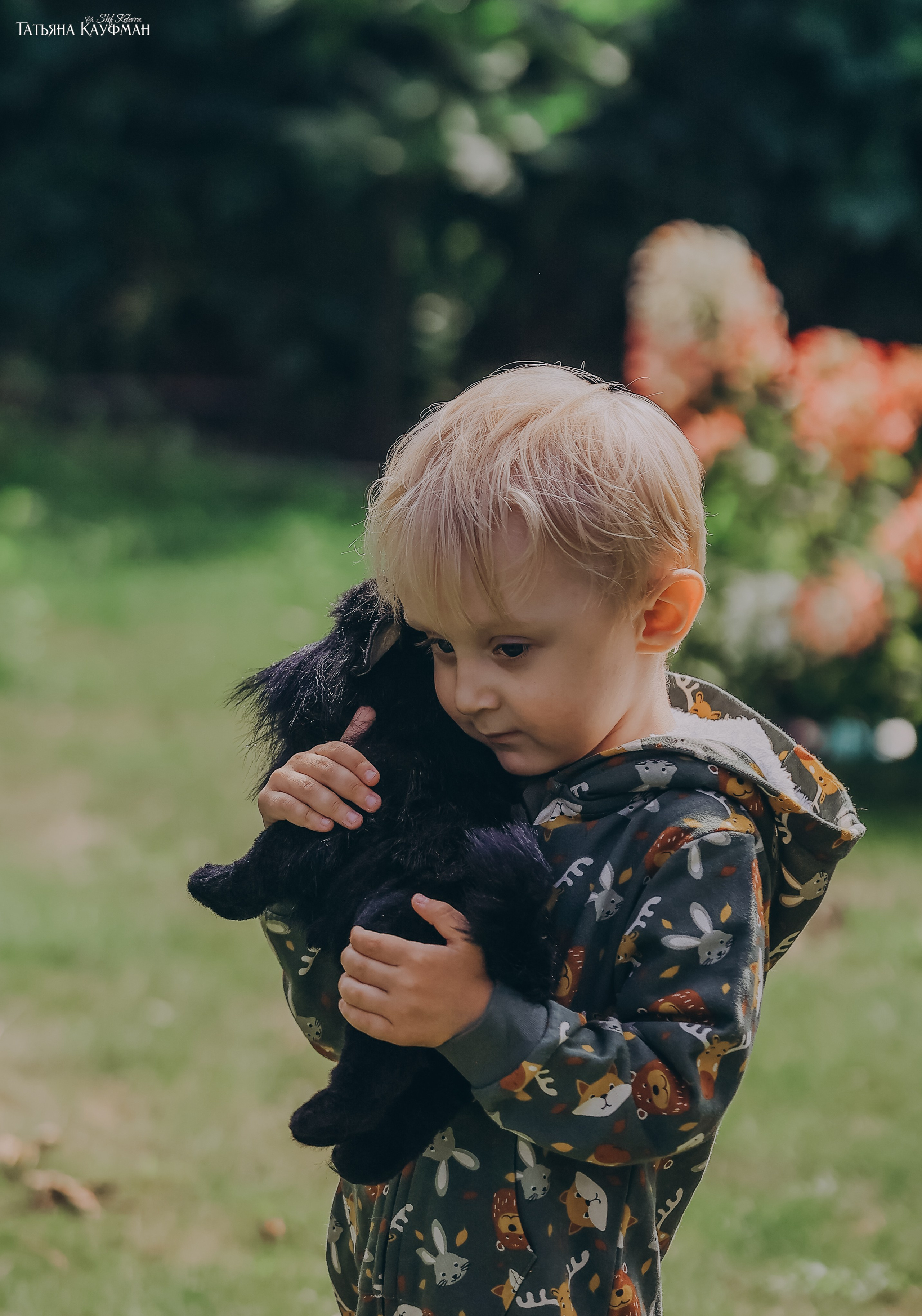 Хоббитовский домик. Фотограф Анималист из Новосибирска Татьяна Кауфман