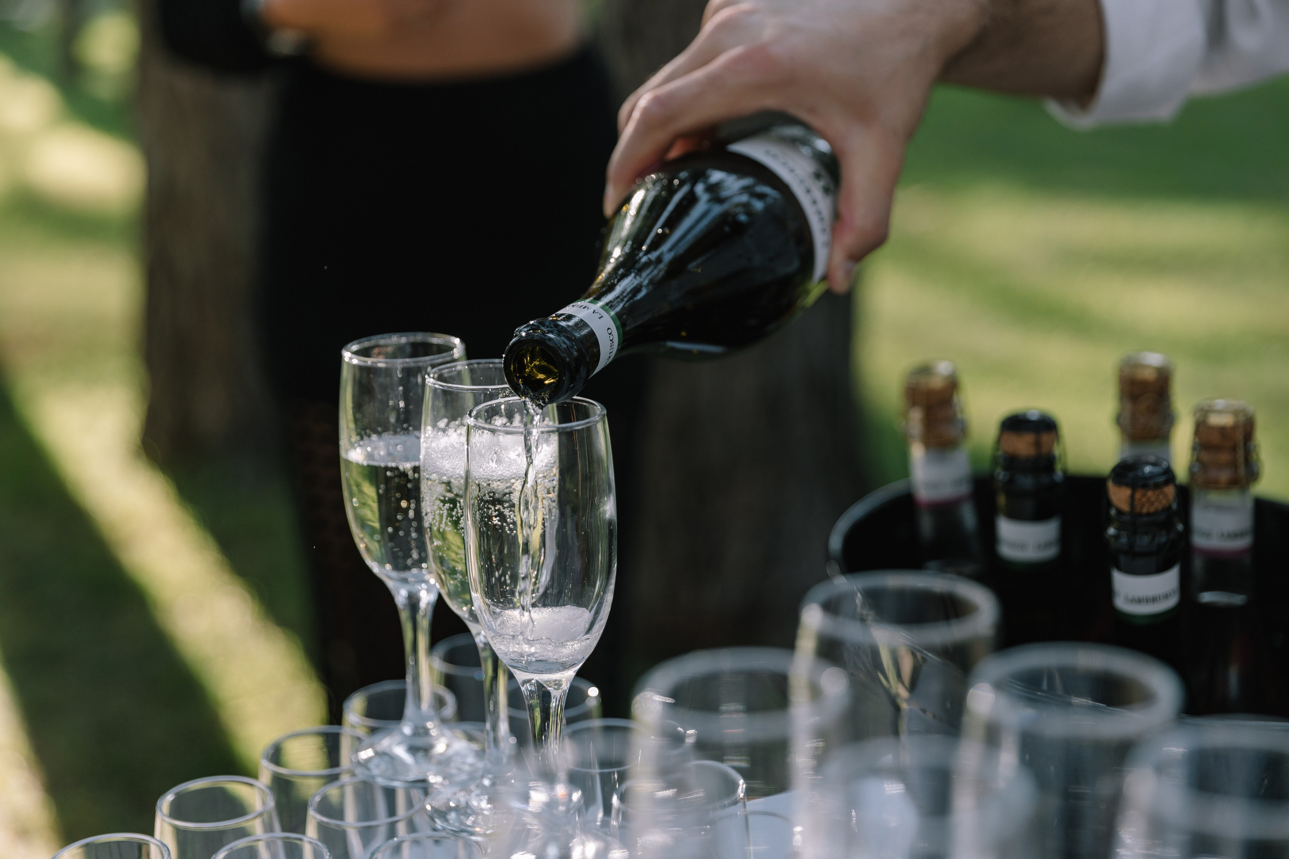 В первый день сентября. Фотограф Елена Краснопевцева