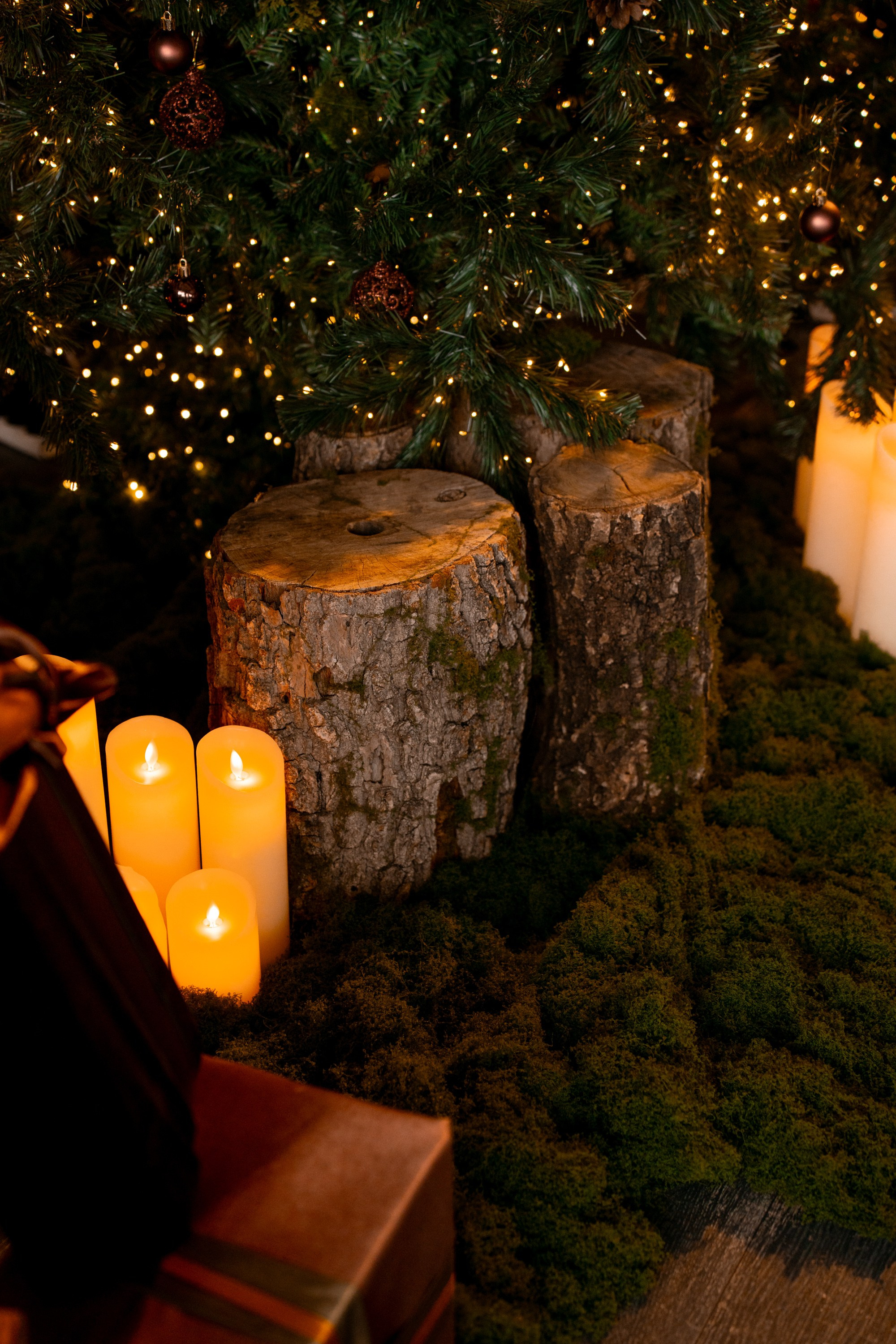 Фотостудия AlexCam | Фотостудии Саратова