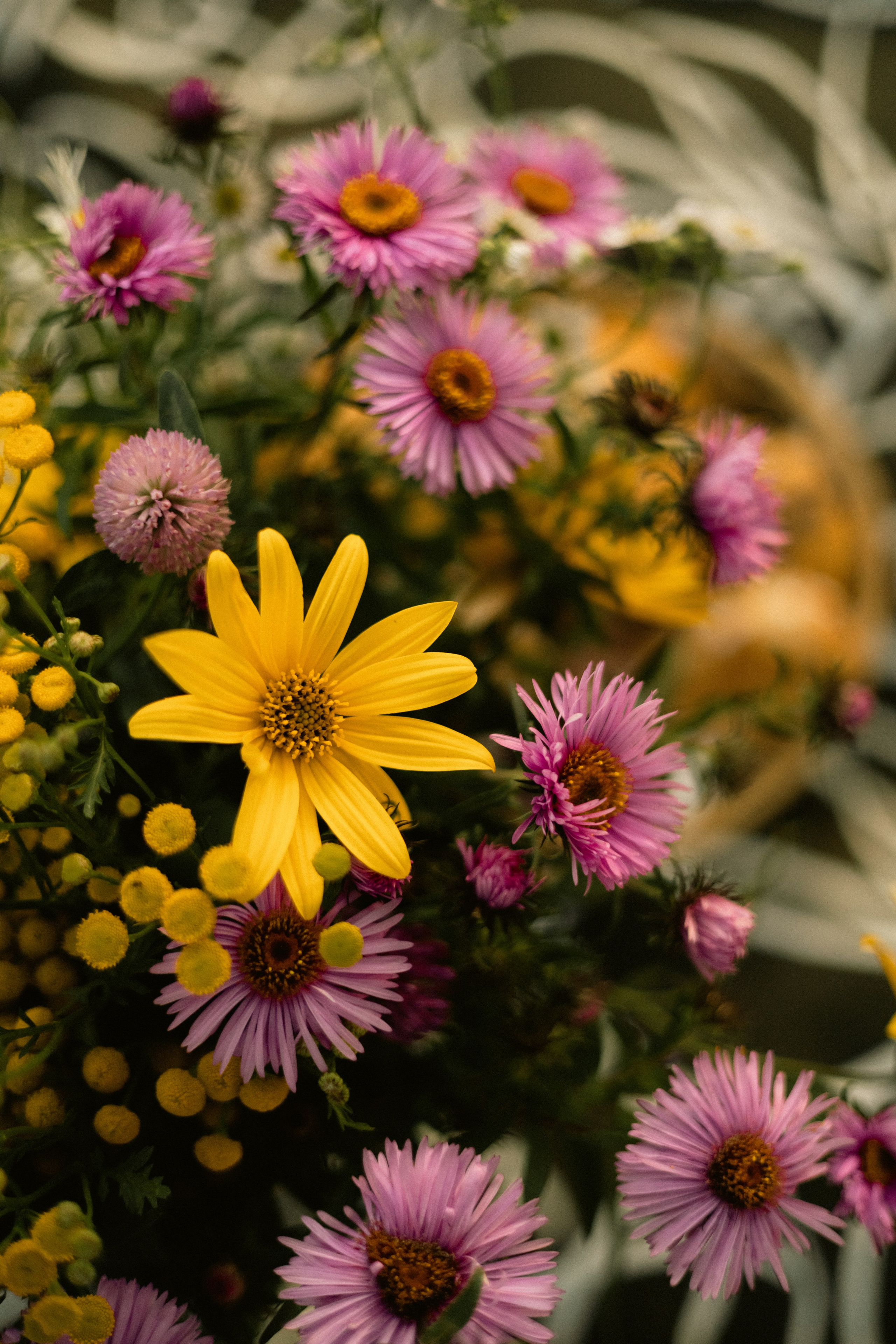 Отзывы о фотографе Дмитрии Кувшинове. Свадебный фотограф в Витебске Дмитрий Кувшинов