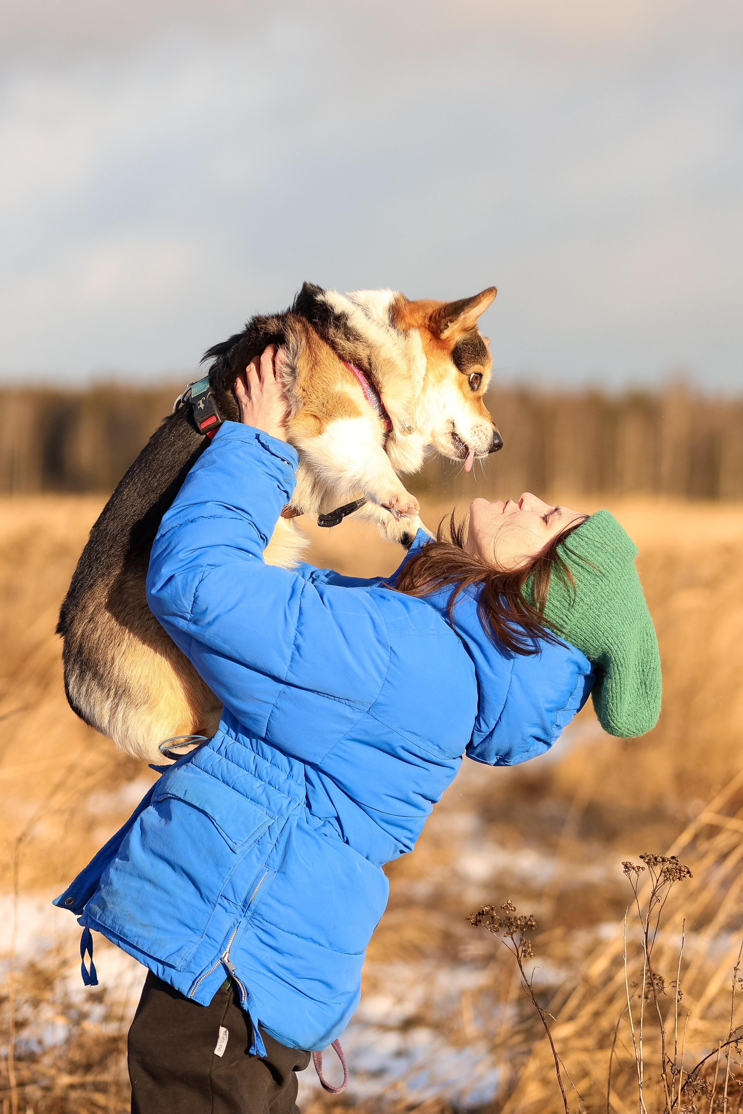 Трой, Балу и Катя. Фотограф-анималист в Москве Кириллова Татьяна