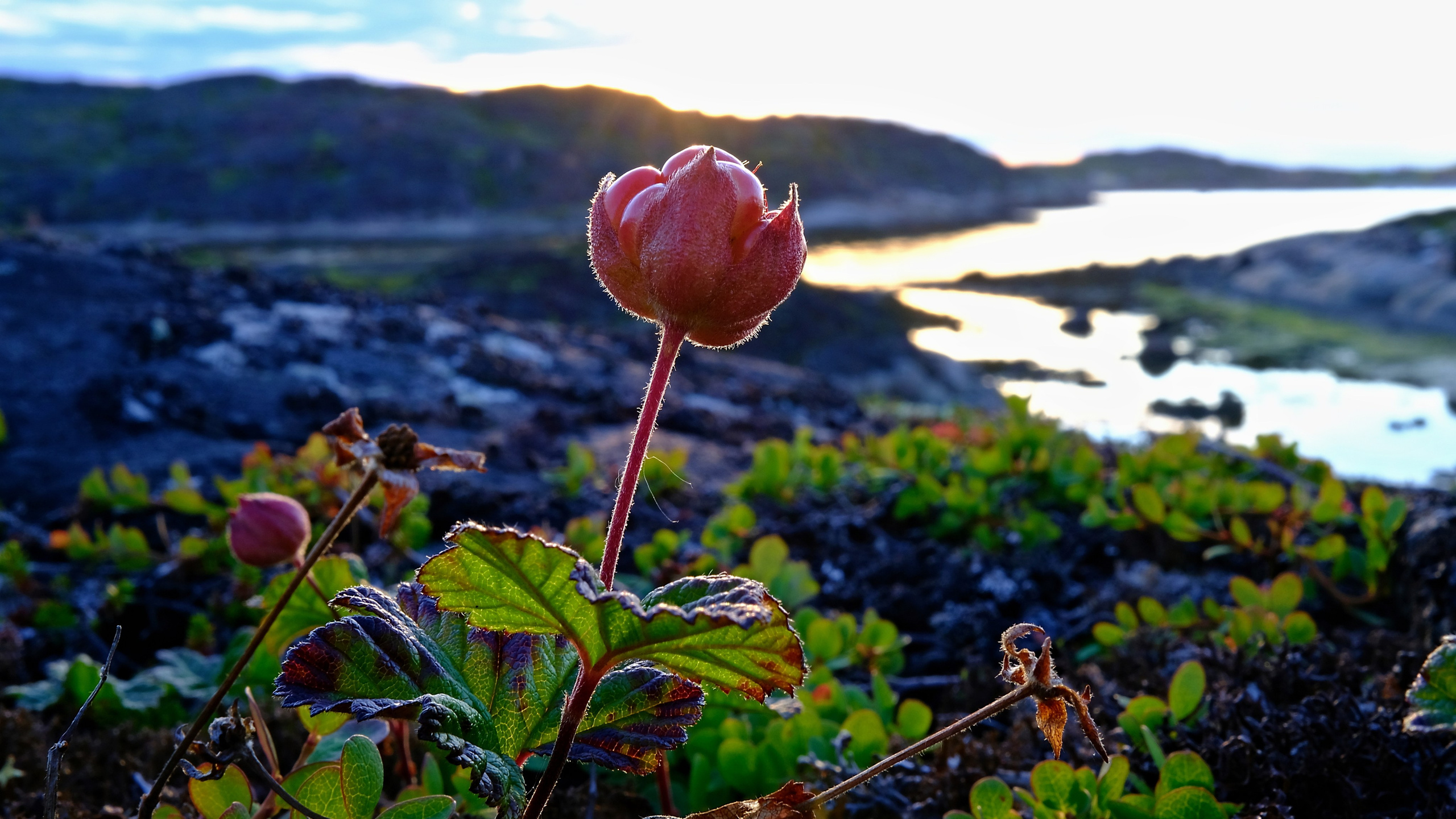 Баренцево море. Пейзажи Крайнего Севера. Баренцево море, Рыбачий, Средний, Немецкий