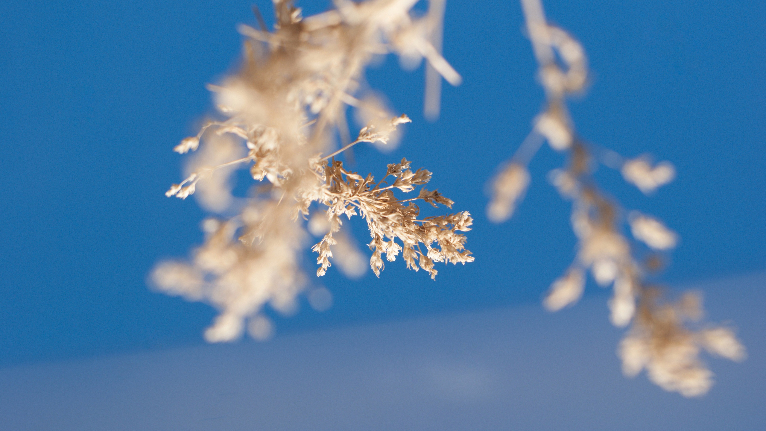 Этот прекрасный мир