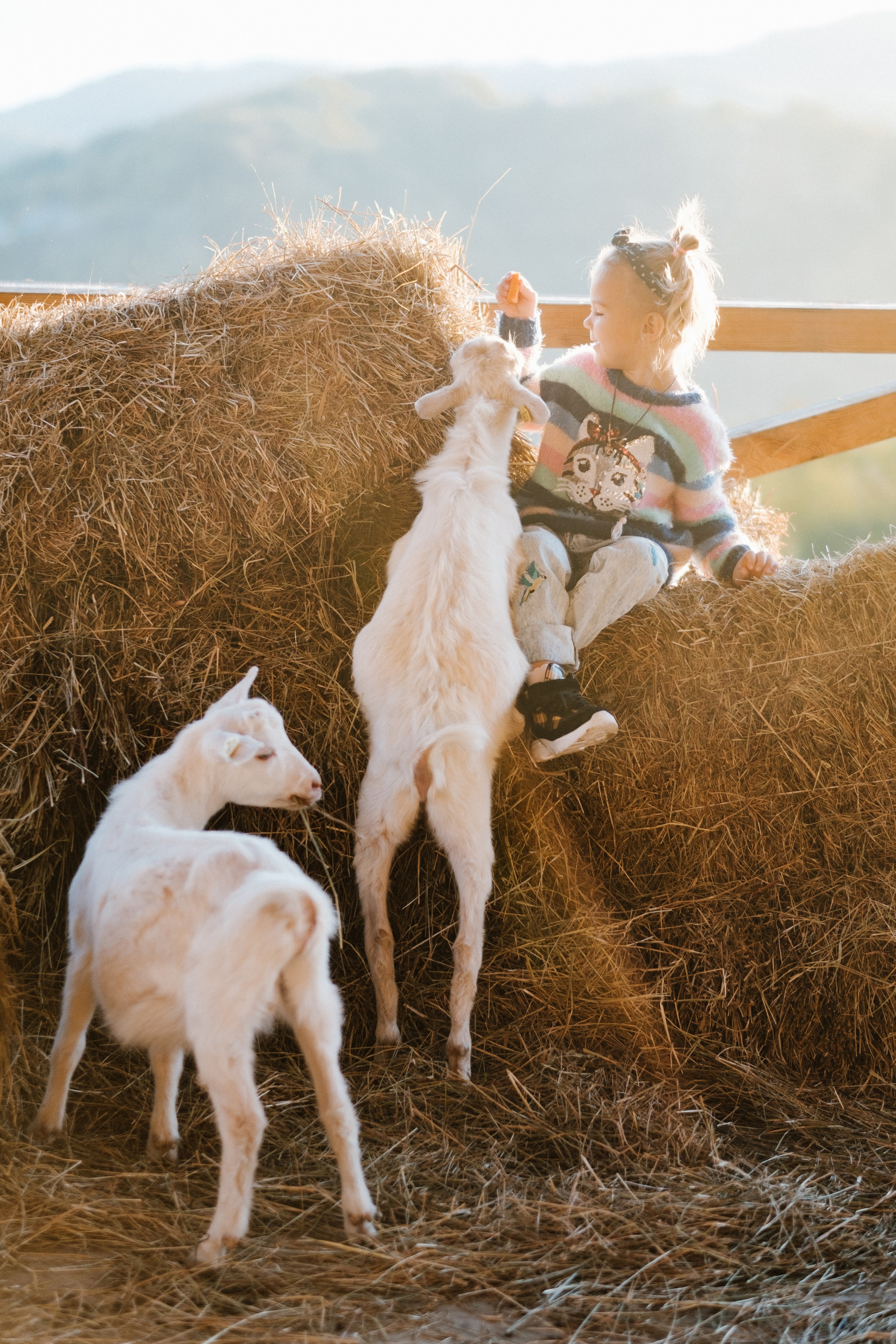 Экзархо. Свадебный Видеограф Фотограф в Сочи
