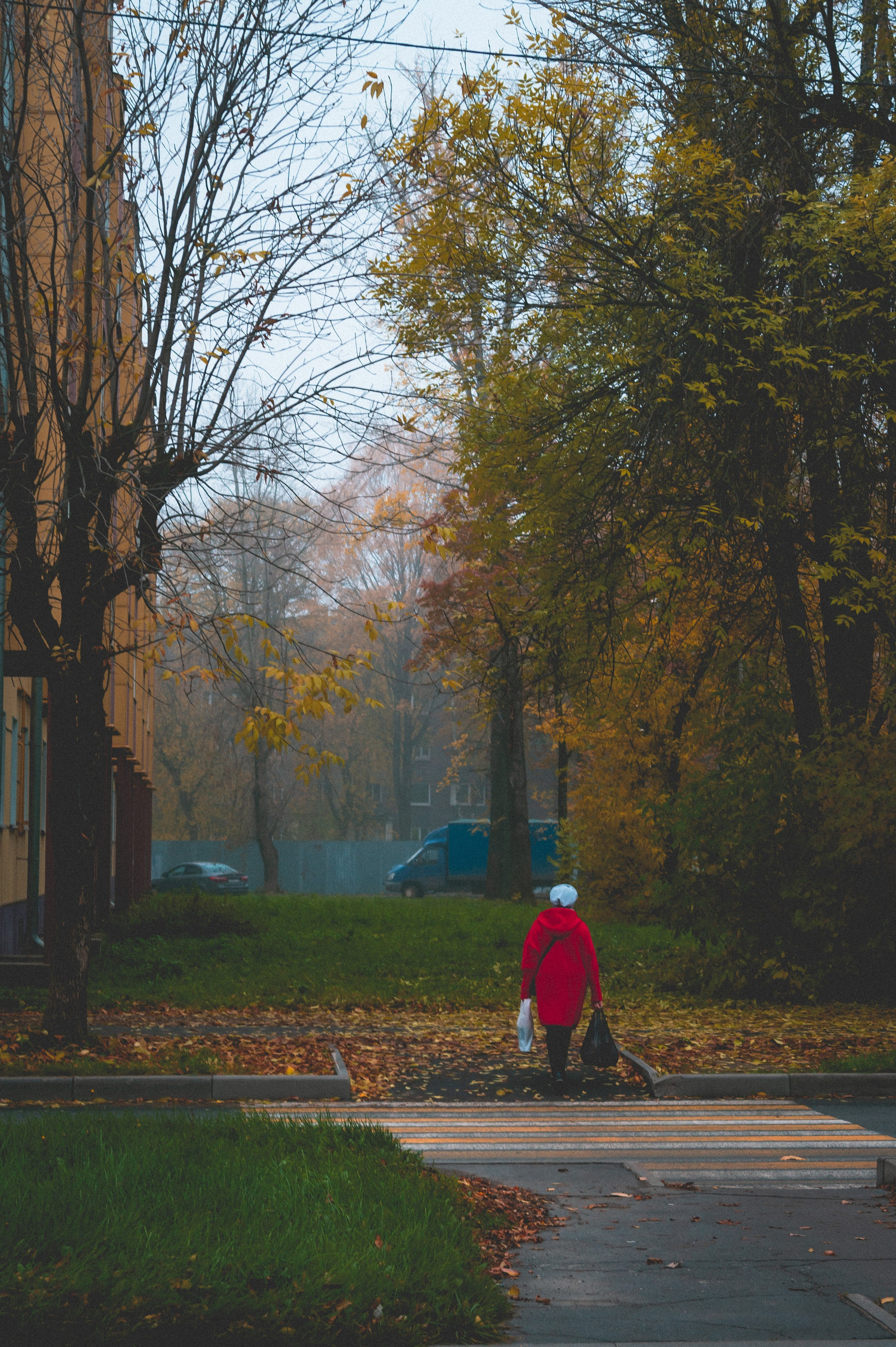 Октябрь 2025. Den Mirov — Фотограф, Музыкант