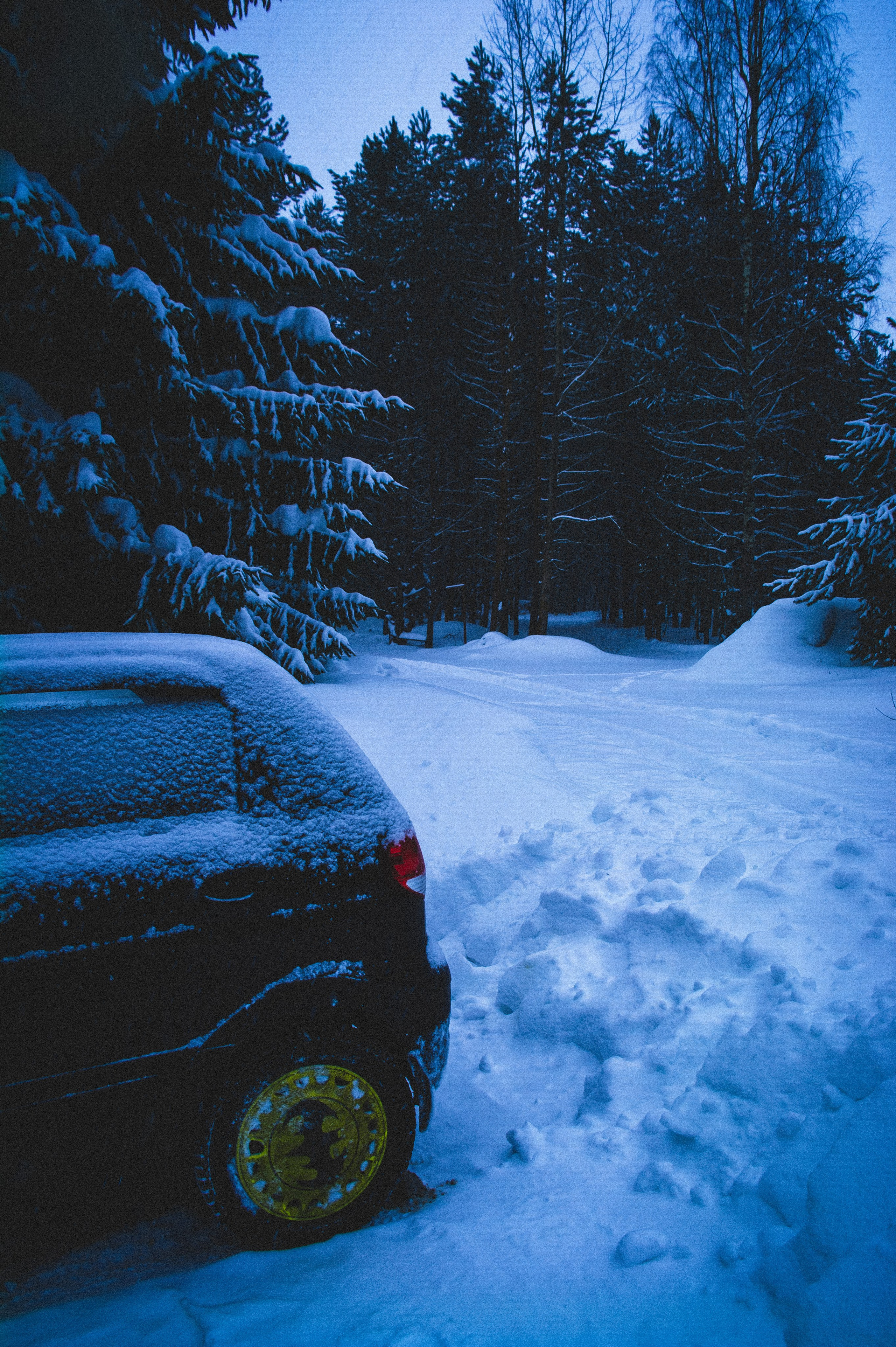 Mindfulness. Den Mirov — Photographer, Musician