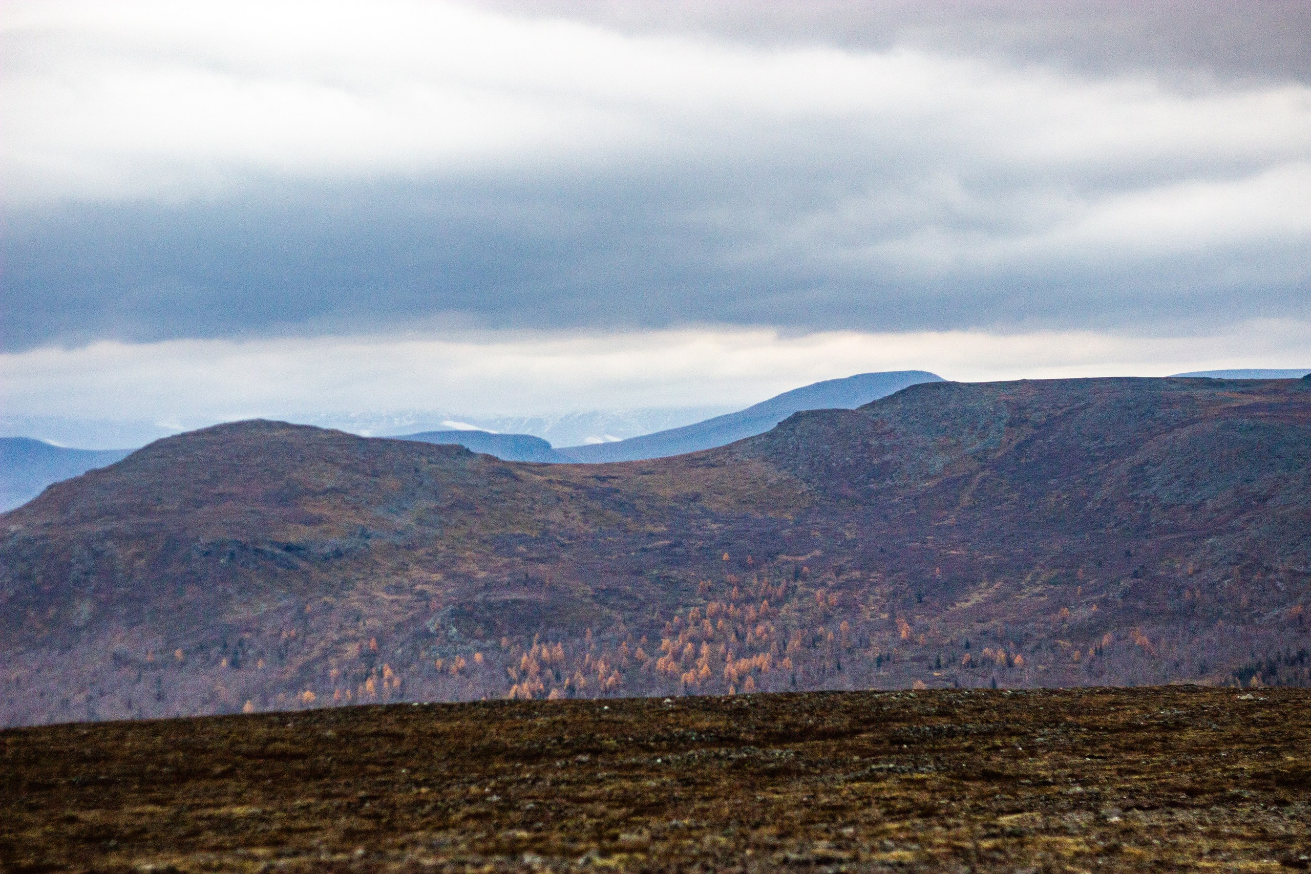 Станция Собь. Фотограф Екатерина Зорина