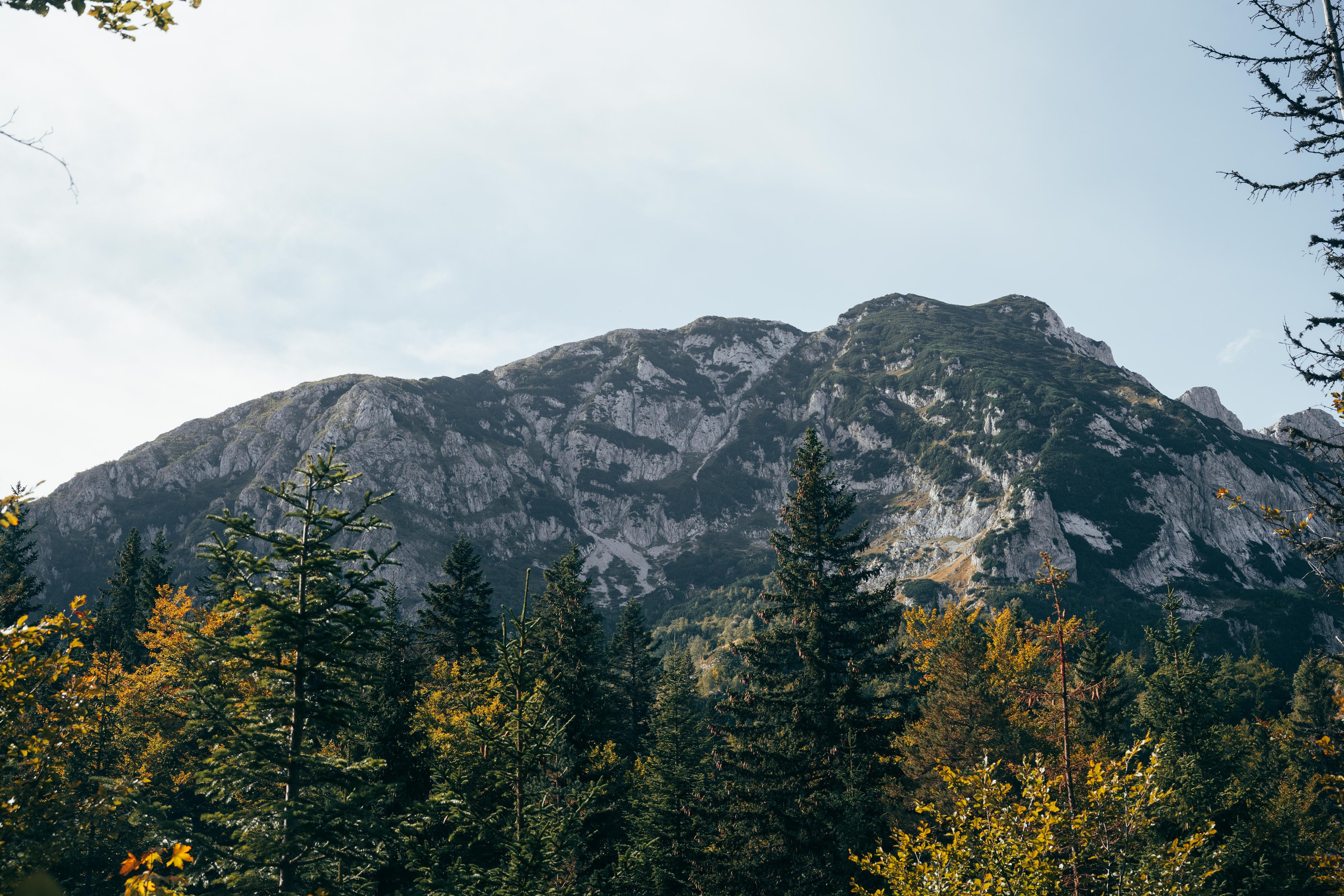 ДОЛИНА ЛОКВИЦЕ. ЧЕРНОГОРИЯ. Фотограф в Белграде Чугреева Елена