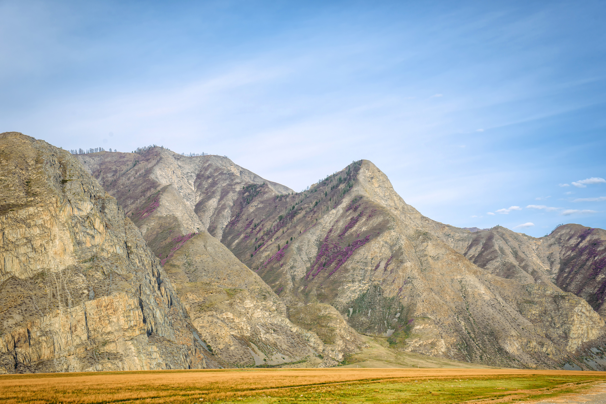 Алтай весной | Altai in spring. Свадебный и семейный фотограф в Новосибирске Александр Счастный