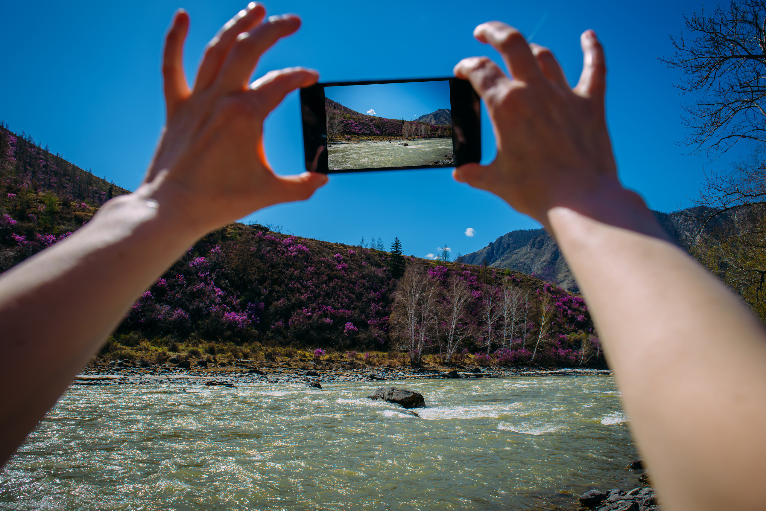 Алтай весной | Altai in spring. Свадебный и семейный фотограф в Новосибирске Александр Счастный