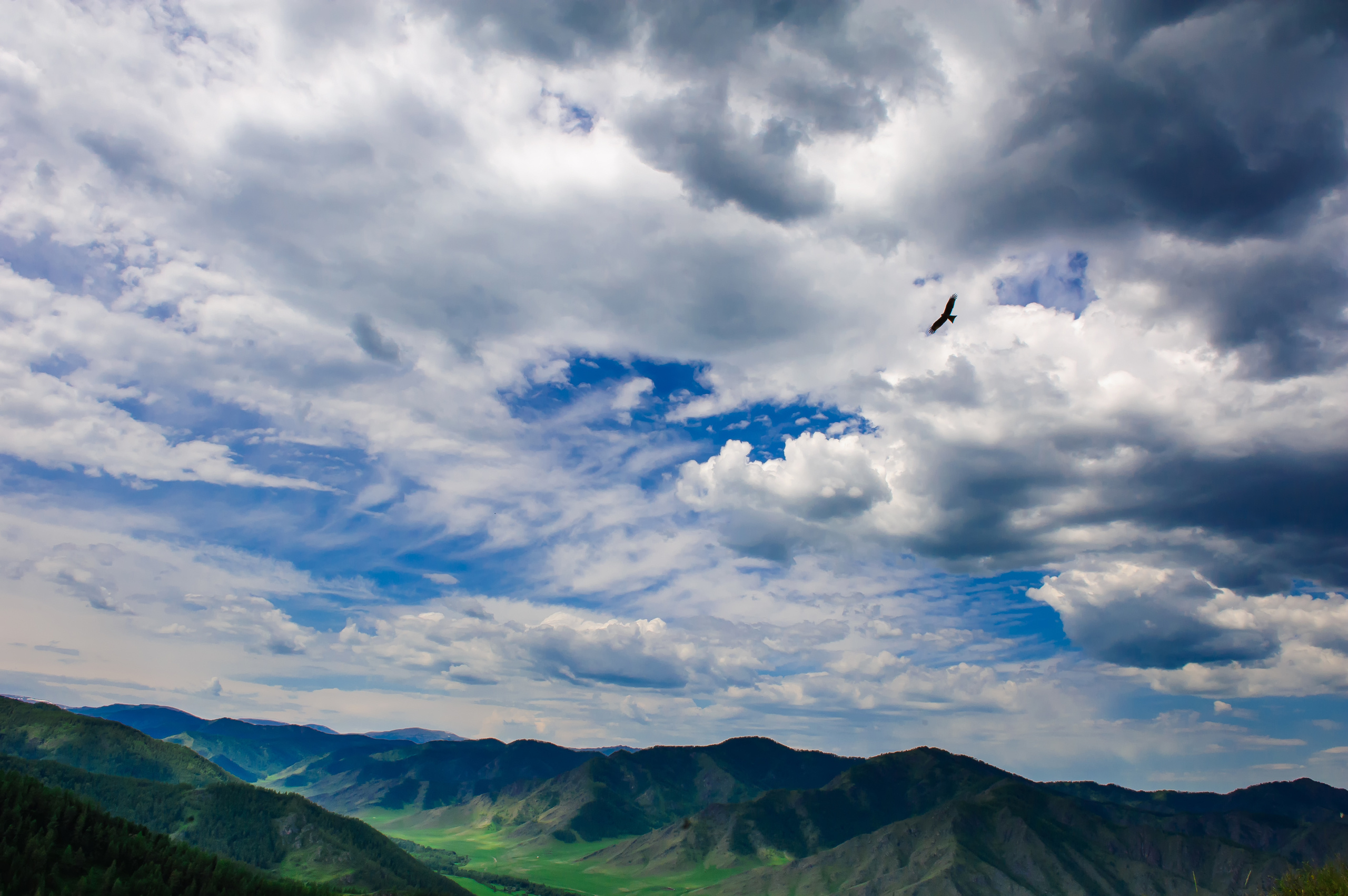 Алтай летом | Altai in summer. Свадебный и семейный фотограф в Новосибирске Александр Счастный