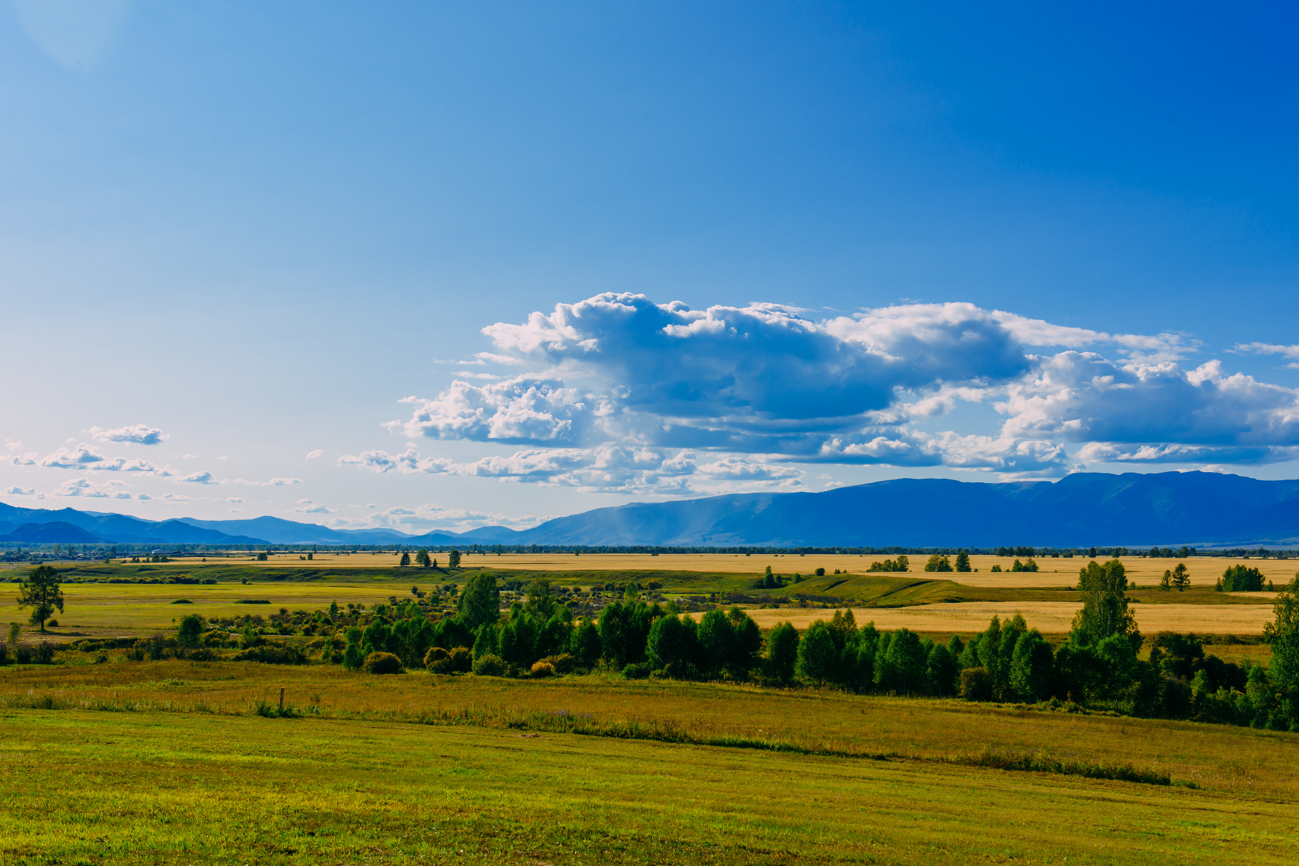 Алтай летом | Altai in summer. Свадебный и семейный фотограф в Новосибирске Александр Счастный