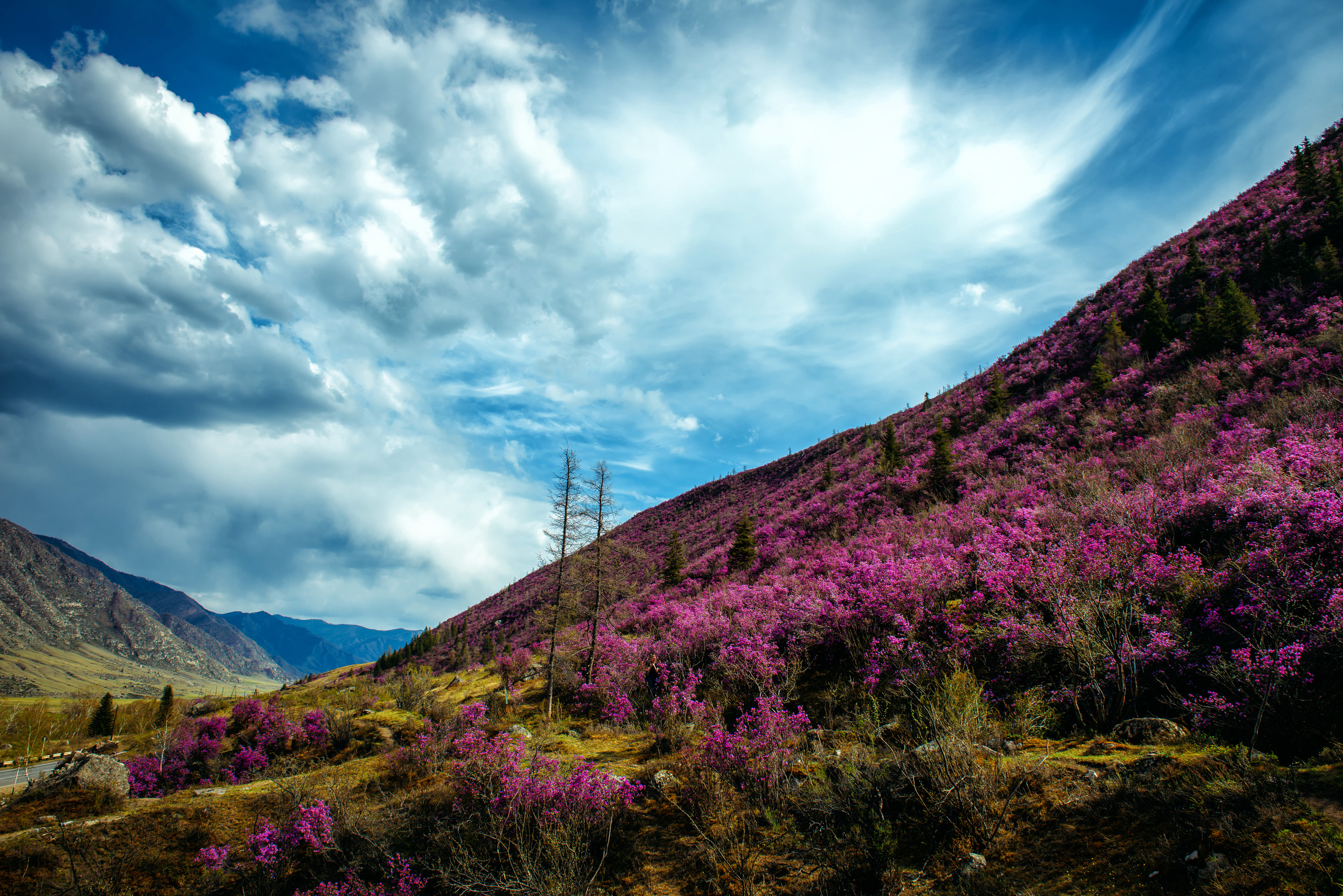 Алтай весной | Altai in spring. Свадебный и семейный фотограф в Новосибирске Александр Счастный