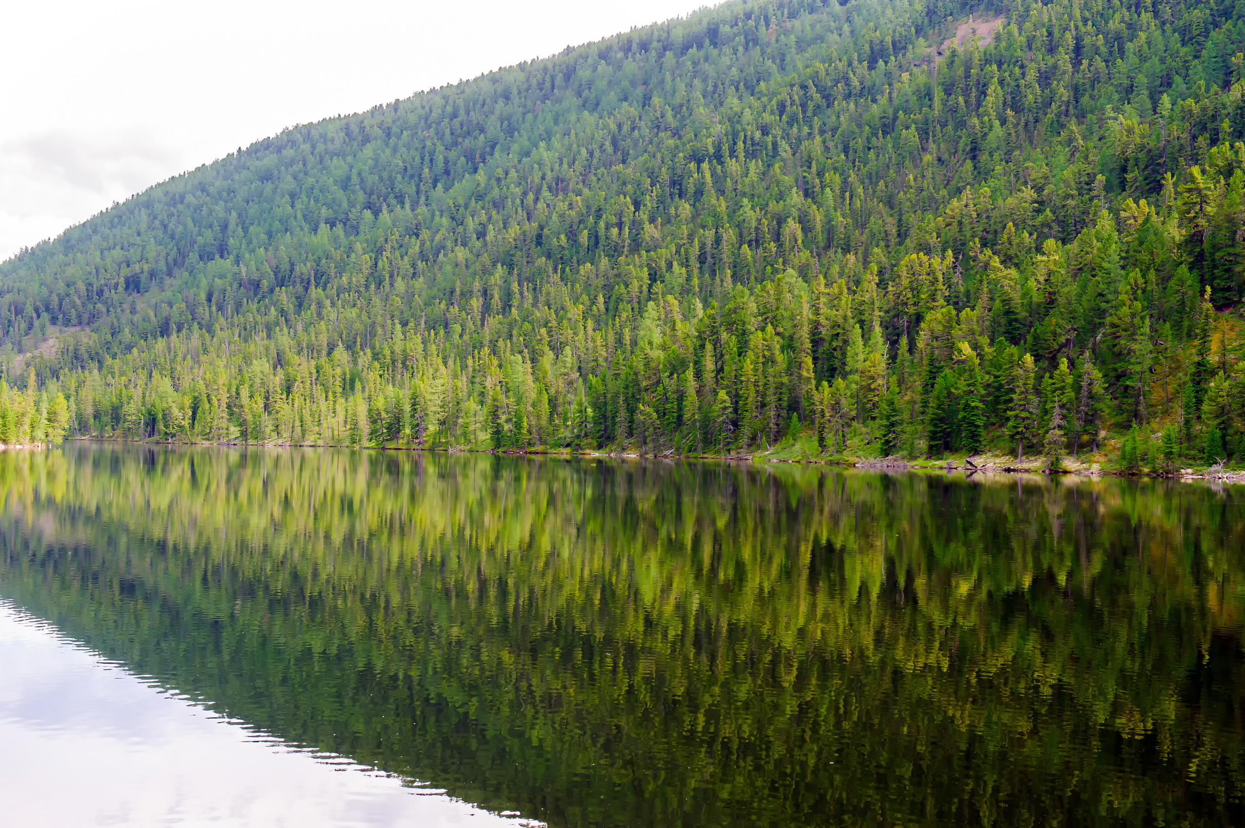 Алтай летом | Altai in summer. Свадебный и семейный фотограф в Новосибирске Александр Счастный
