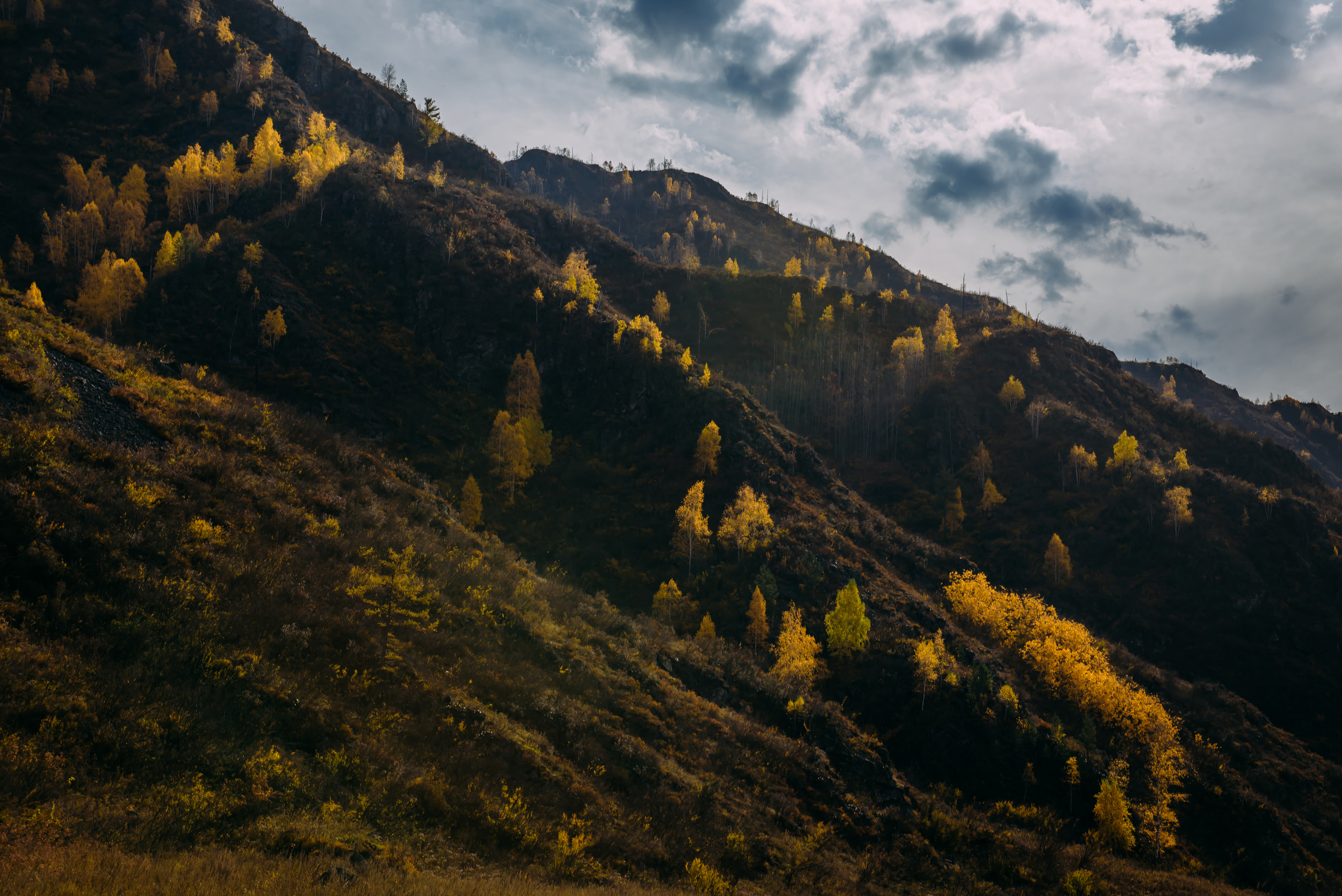 Алтай осенью | Altai in Autumn. Свадебный и семейный фотограф в Новосибирске Александр Счастный