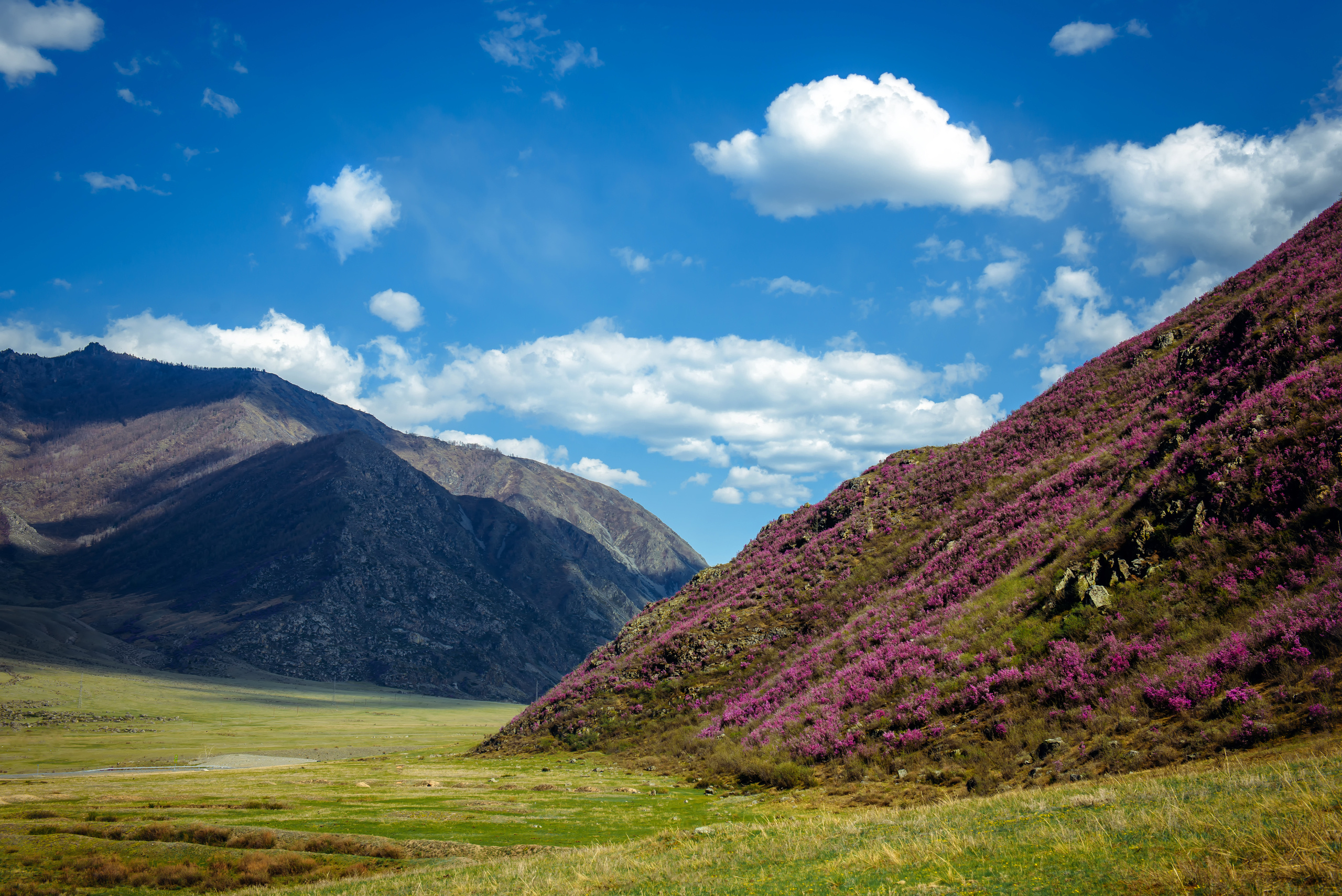 Алтай весной | Altai in spring. Свадебный и семейный фотограф в Новосибирске Александр Счастный