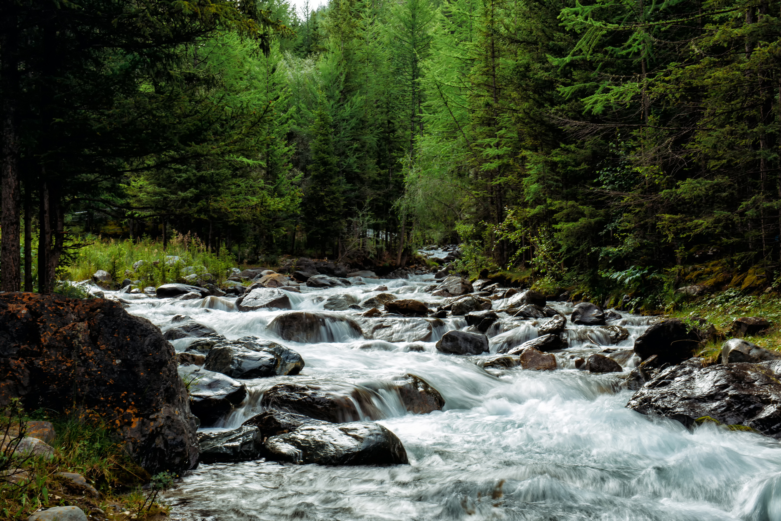 Алтай летом | Altai in summer. Свадебный и семейный фотограф в Новосибирске Александр Счастный