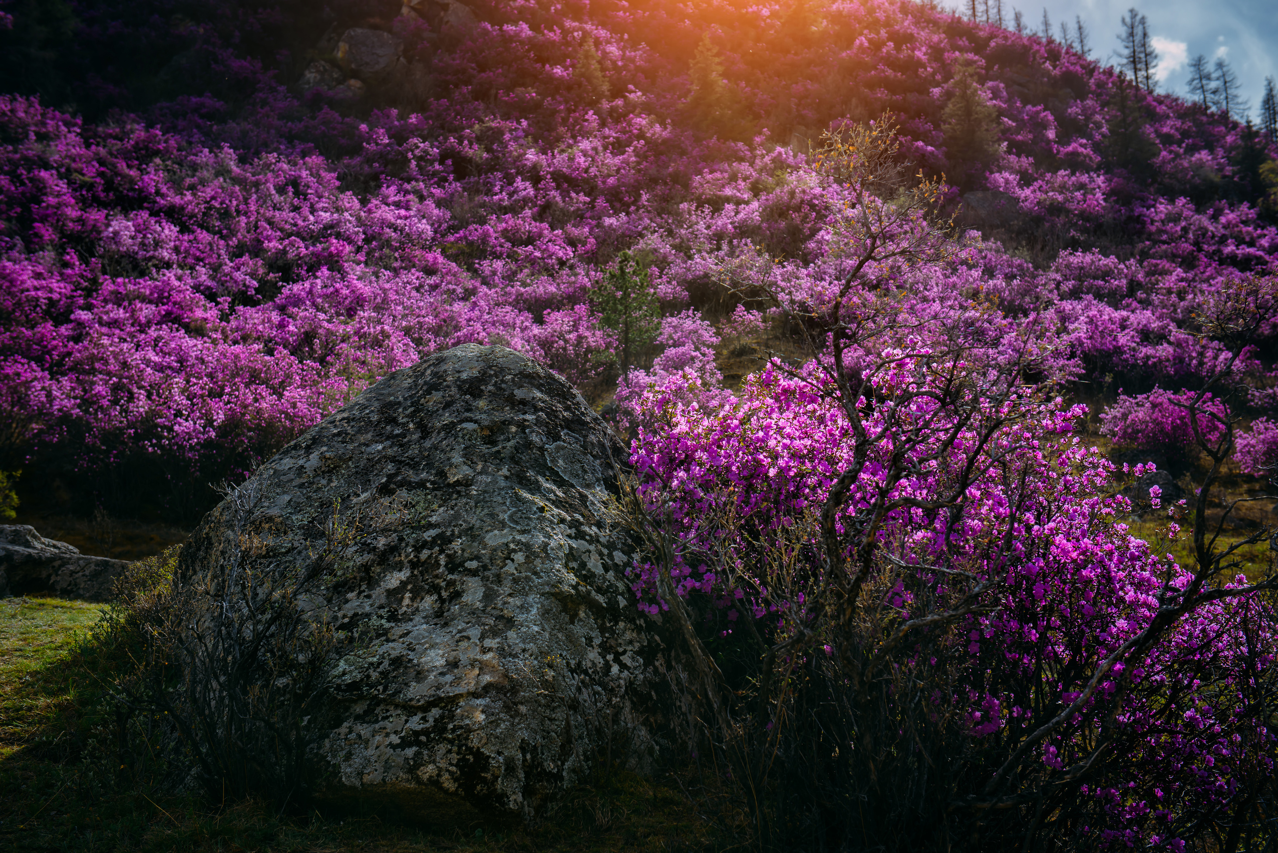 Алтай весной | Altai in spring. Свадебный и семейный фотограф в Новосибирске Александр Счастный