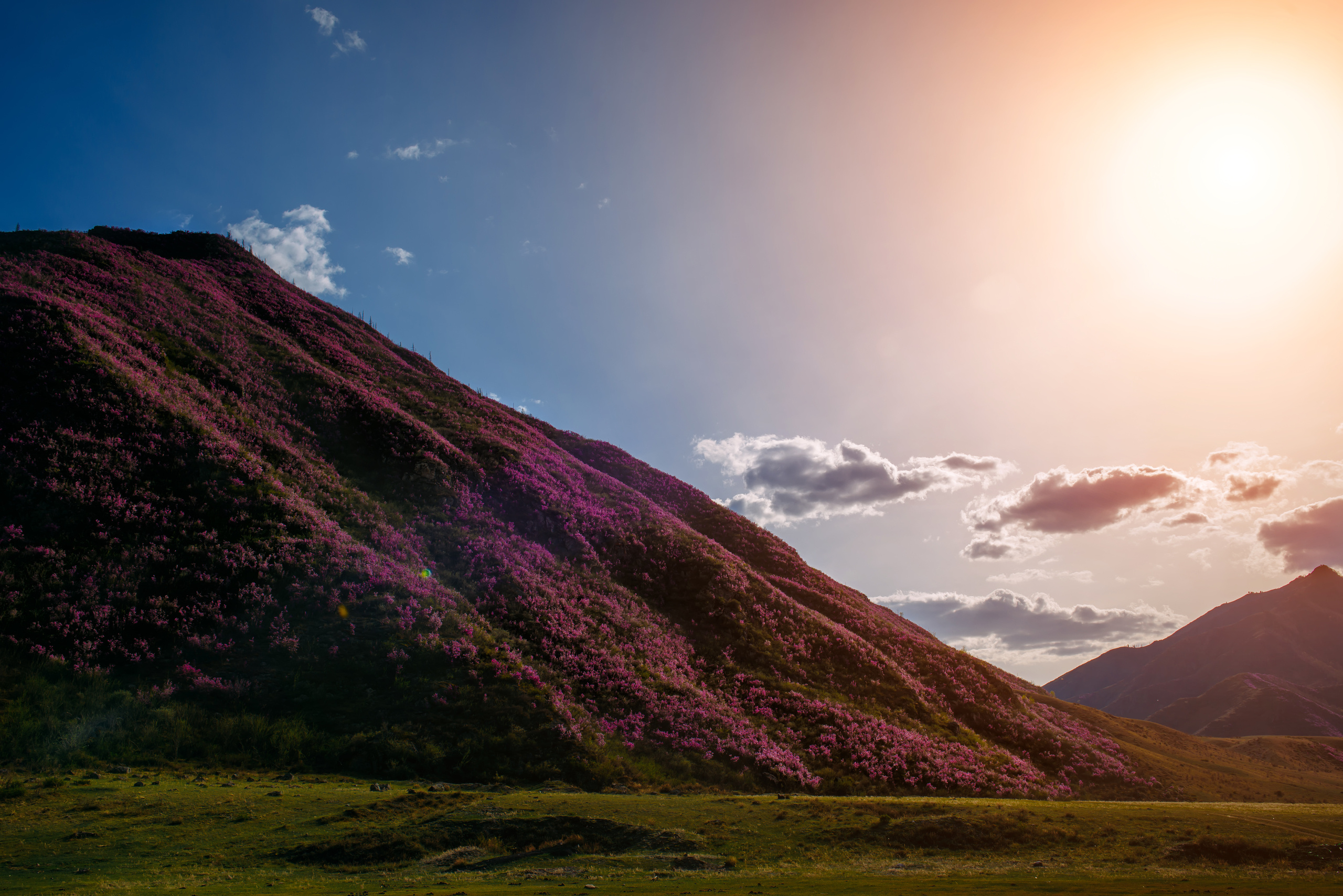 Алтай весной | Altai in spring. Свадебный и семейный фотограф в Новосибирске Александр Счастный
