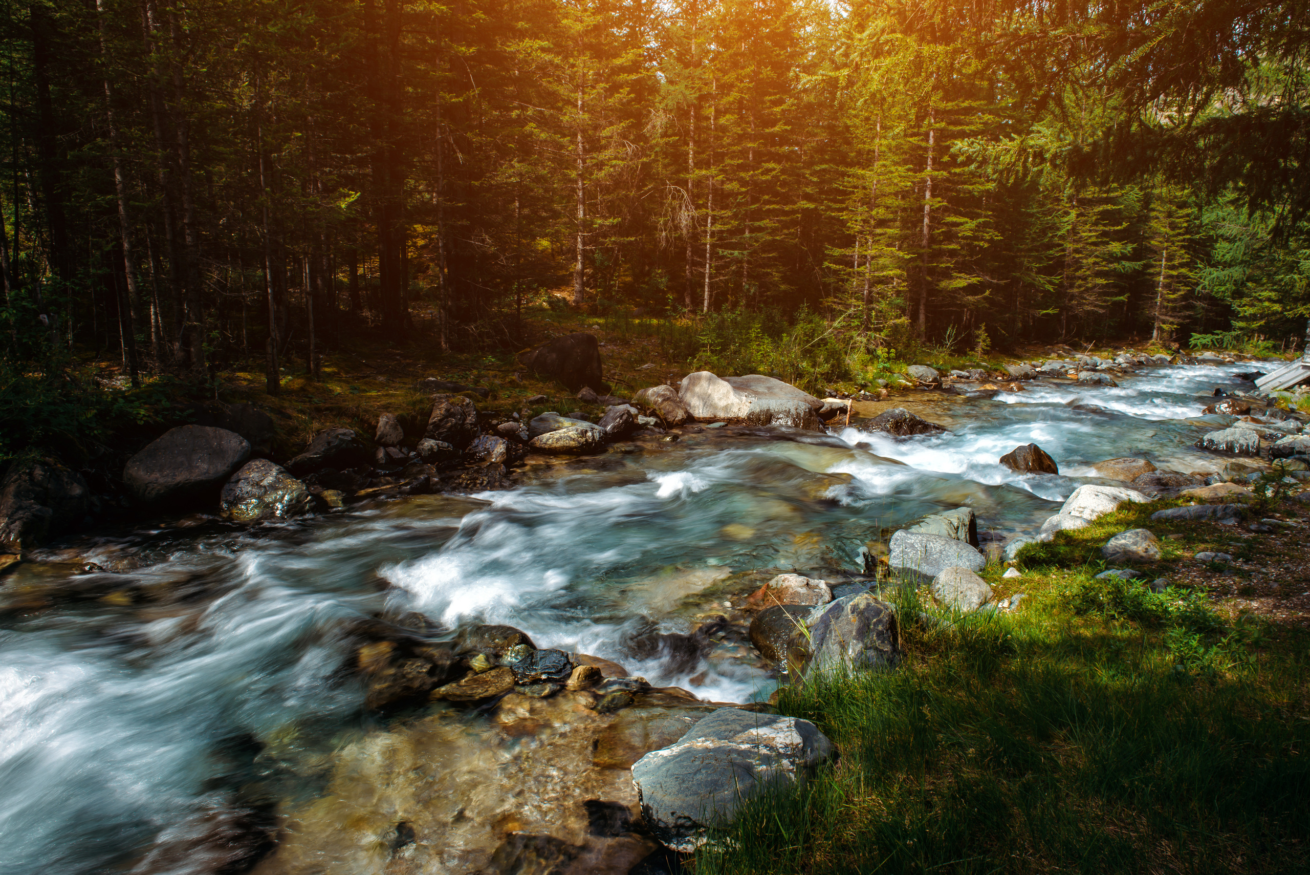 Алтай летом | Altai in summer. Свадебный и семейный фотограф в Новосибирске Александр Счастный
