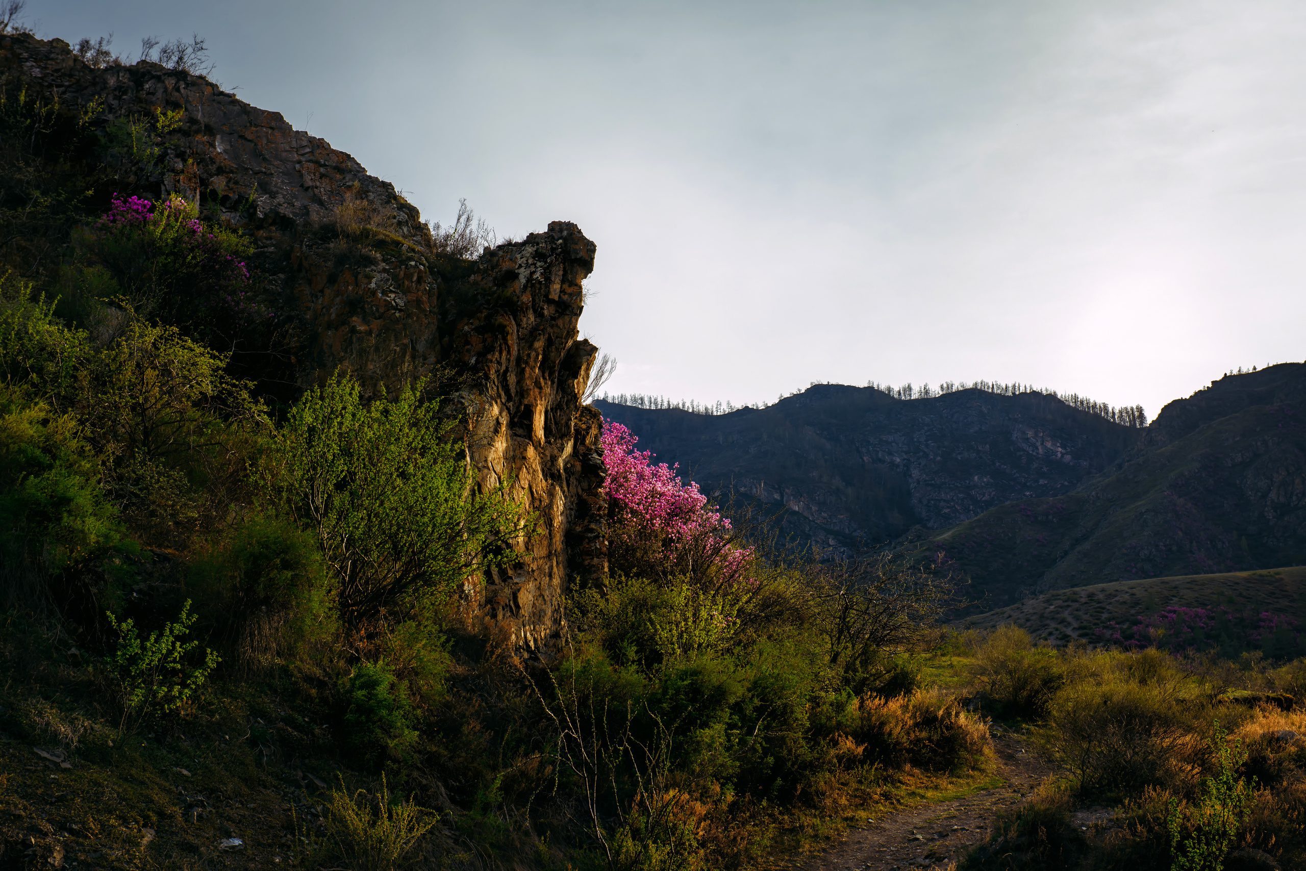 Алтай весной | Altai in spring. Свадебный и семейный фотограф в Новосибирске Александр Счастный