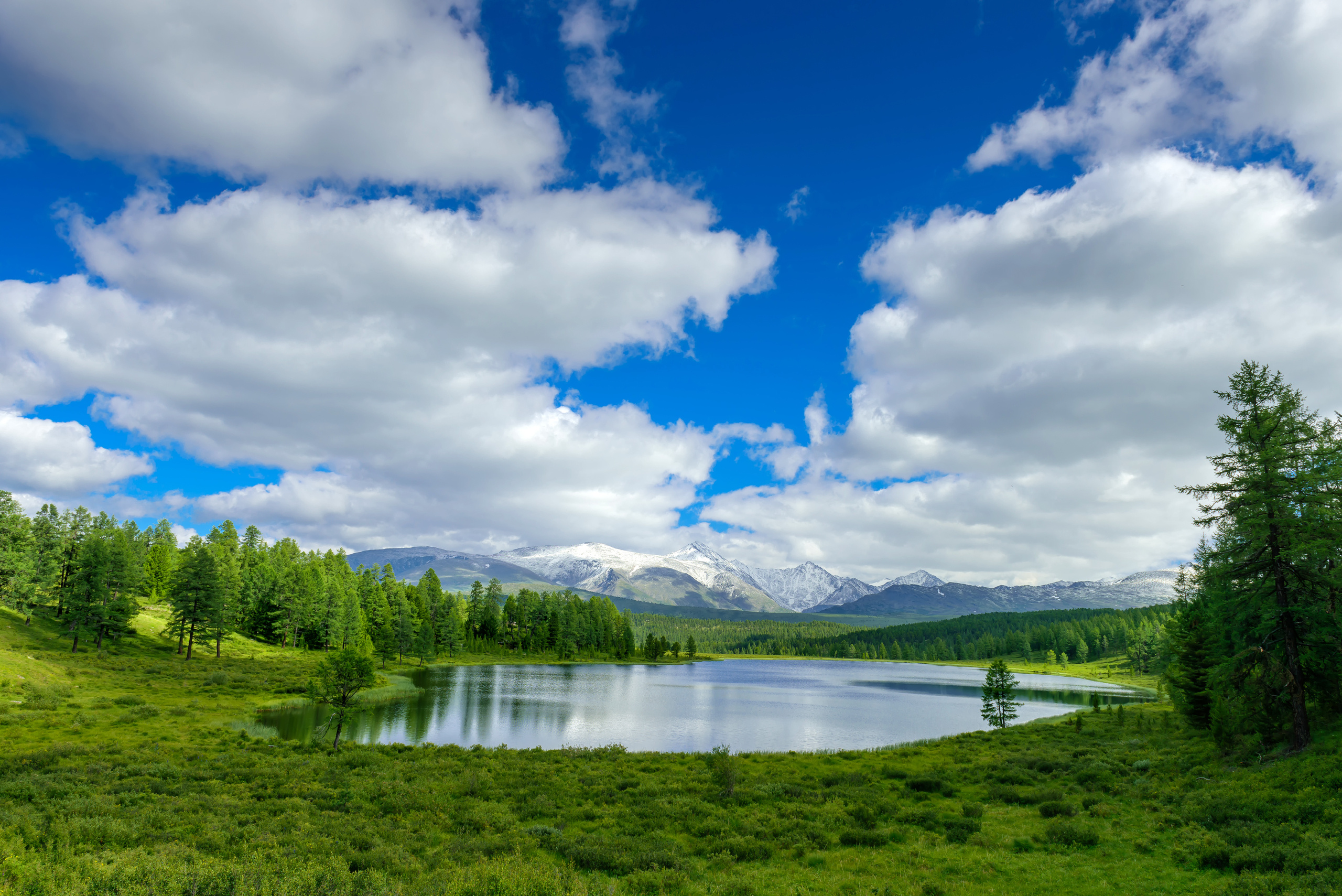 Алтай летом | Altai in summer. Свадебный и семейный фотограф в Новосибирске Александр Счастный