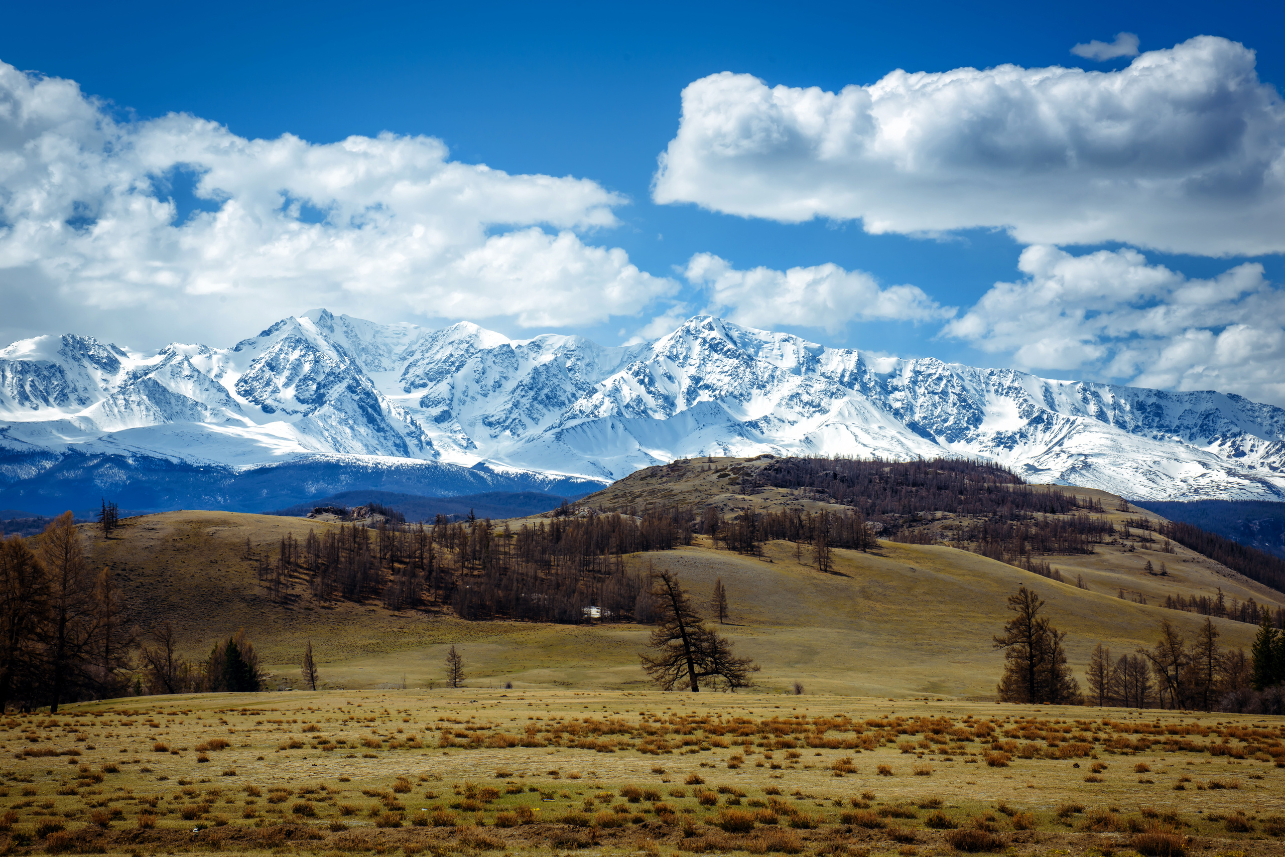 Алтай весной | Altai in spring. Свадебный и семейный фотограф в Новосибирске Александр Счастный