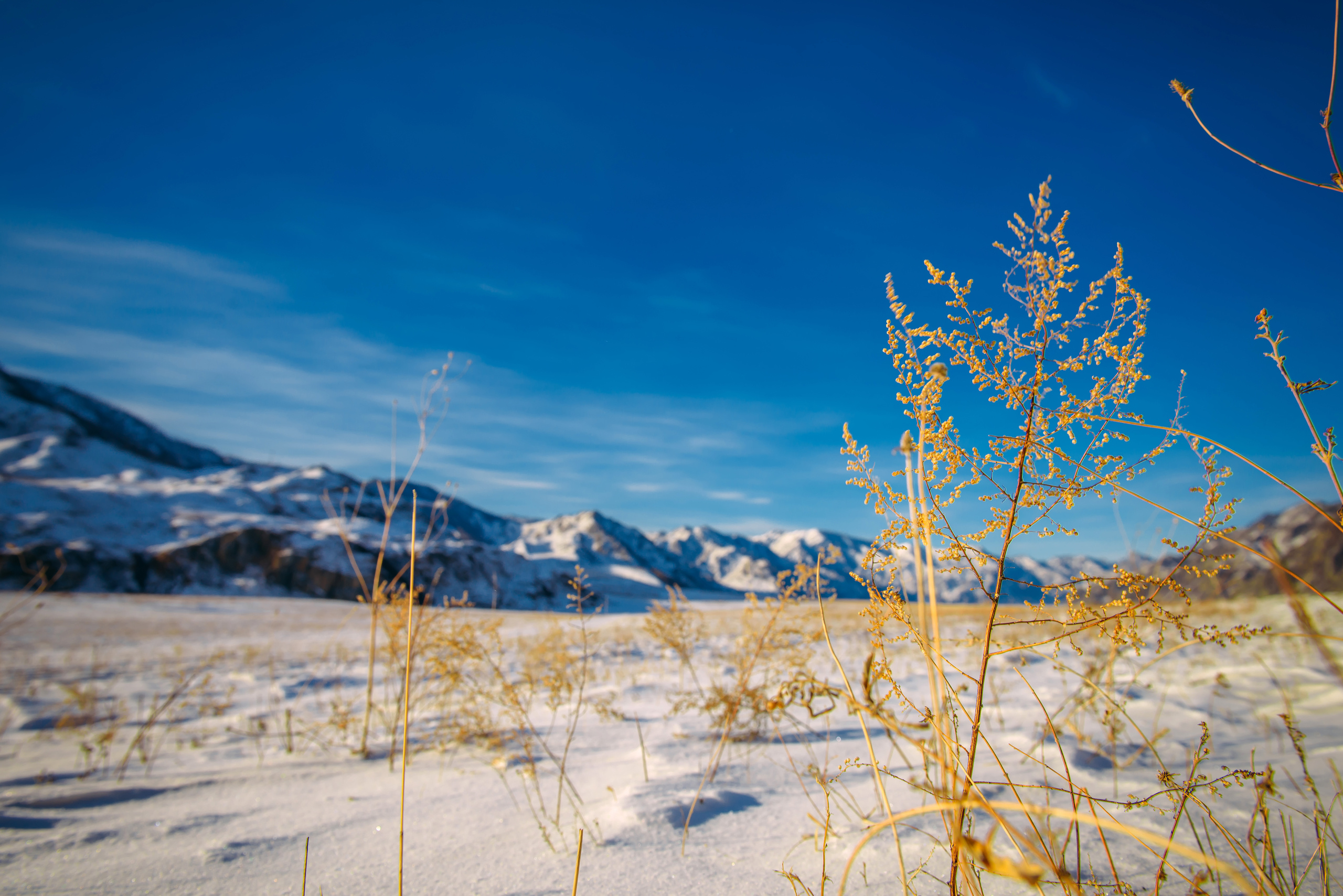 Алтай зимой | Altai in winter. Свадебный и семейный фотограф в Новосибирске Александр Счастный