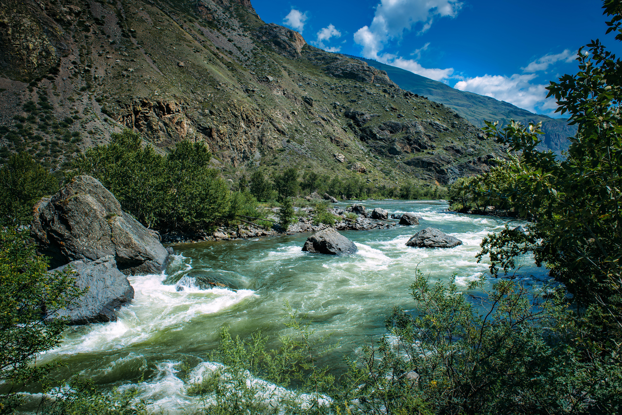 Алтай летом | Altai in summer. Свадебный и семейный фотограф в Новосибирске Александр Счастный