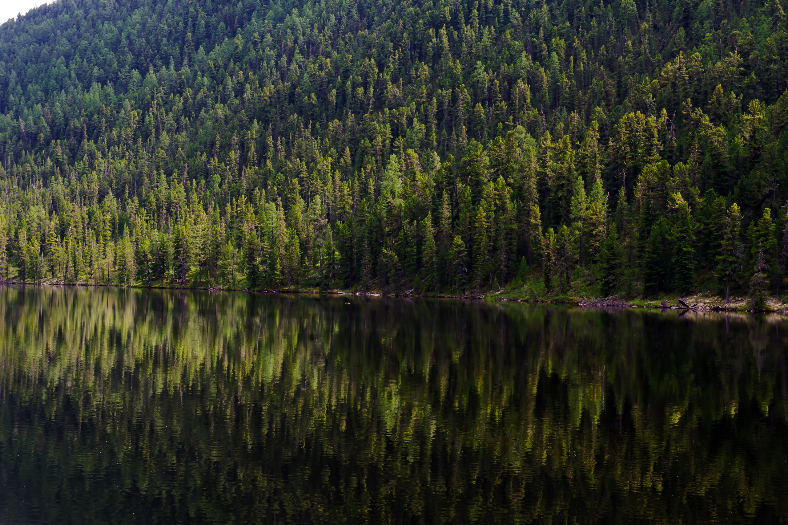 Алтай летом | Altai in summer. Свадебный и семейный фотограф в Новосибирске Александр Счастный