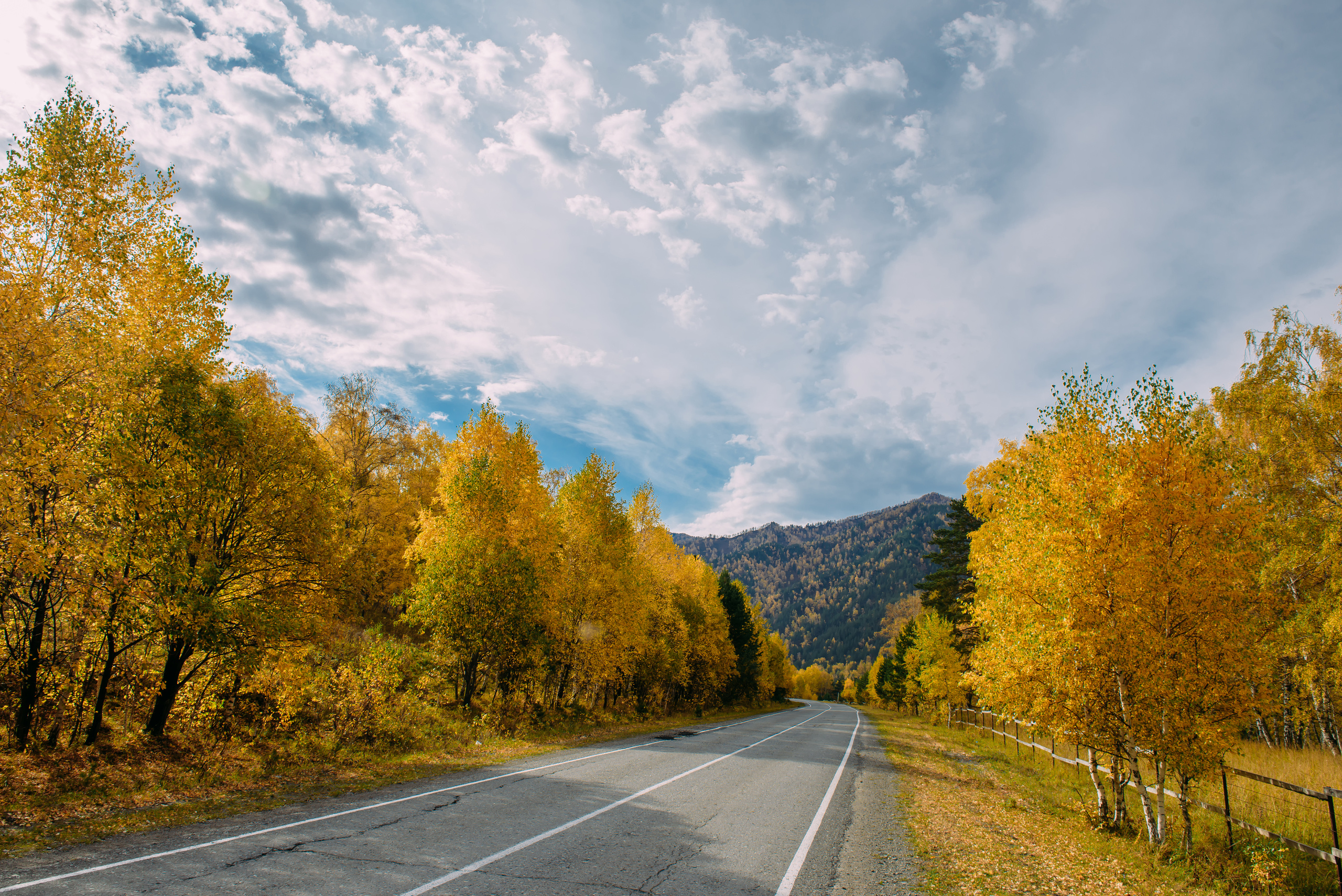 Алтай осенью | Altai in Autumn. Свадебный и семейный фотограф в Новосибирске Александр Счастный