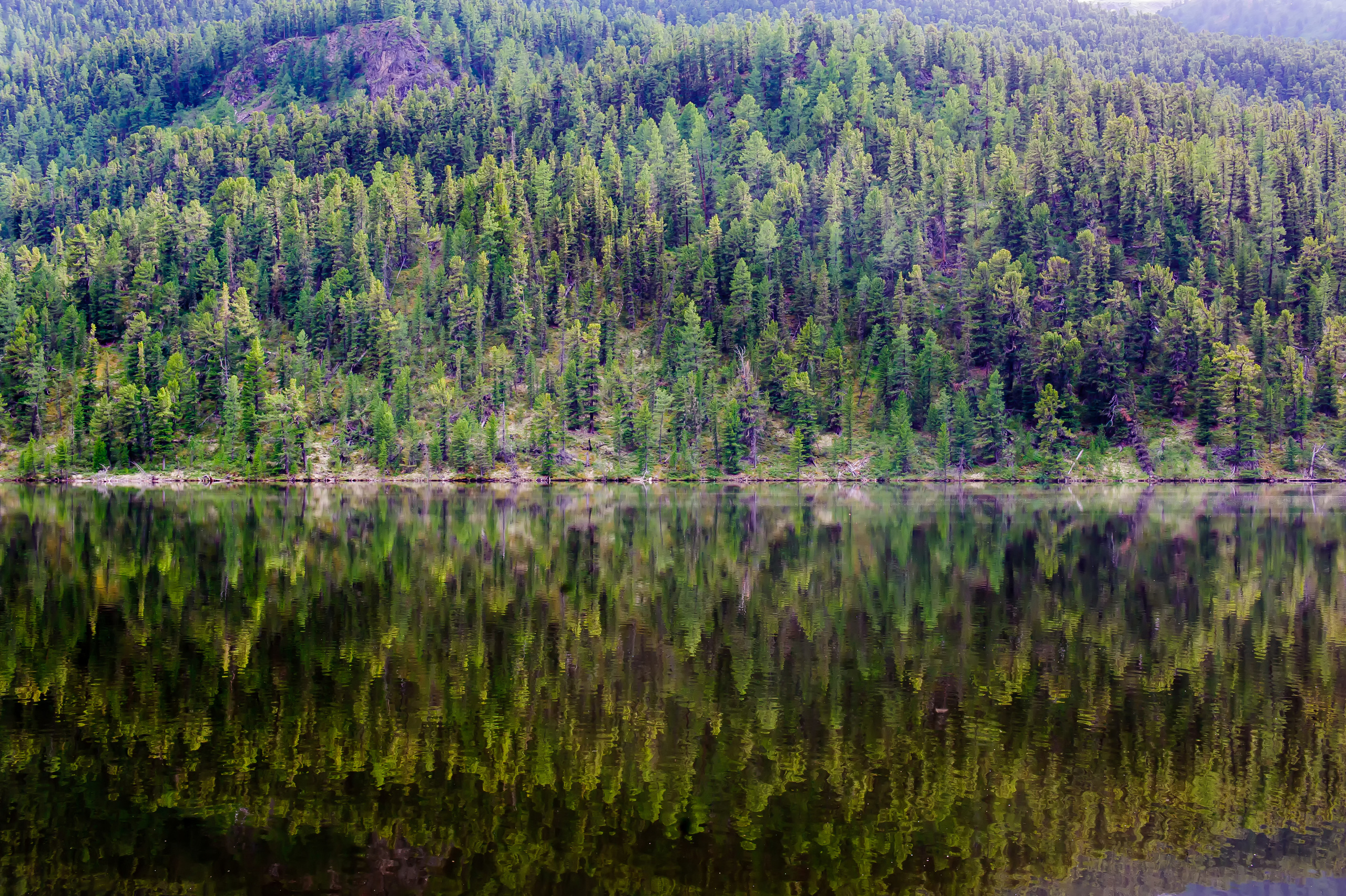 Алтай летом | Altai in summer. Свадебный и семейный фотограф в Новосибирске Александр Счастный