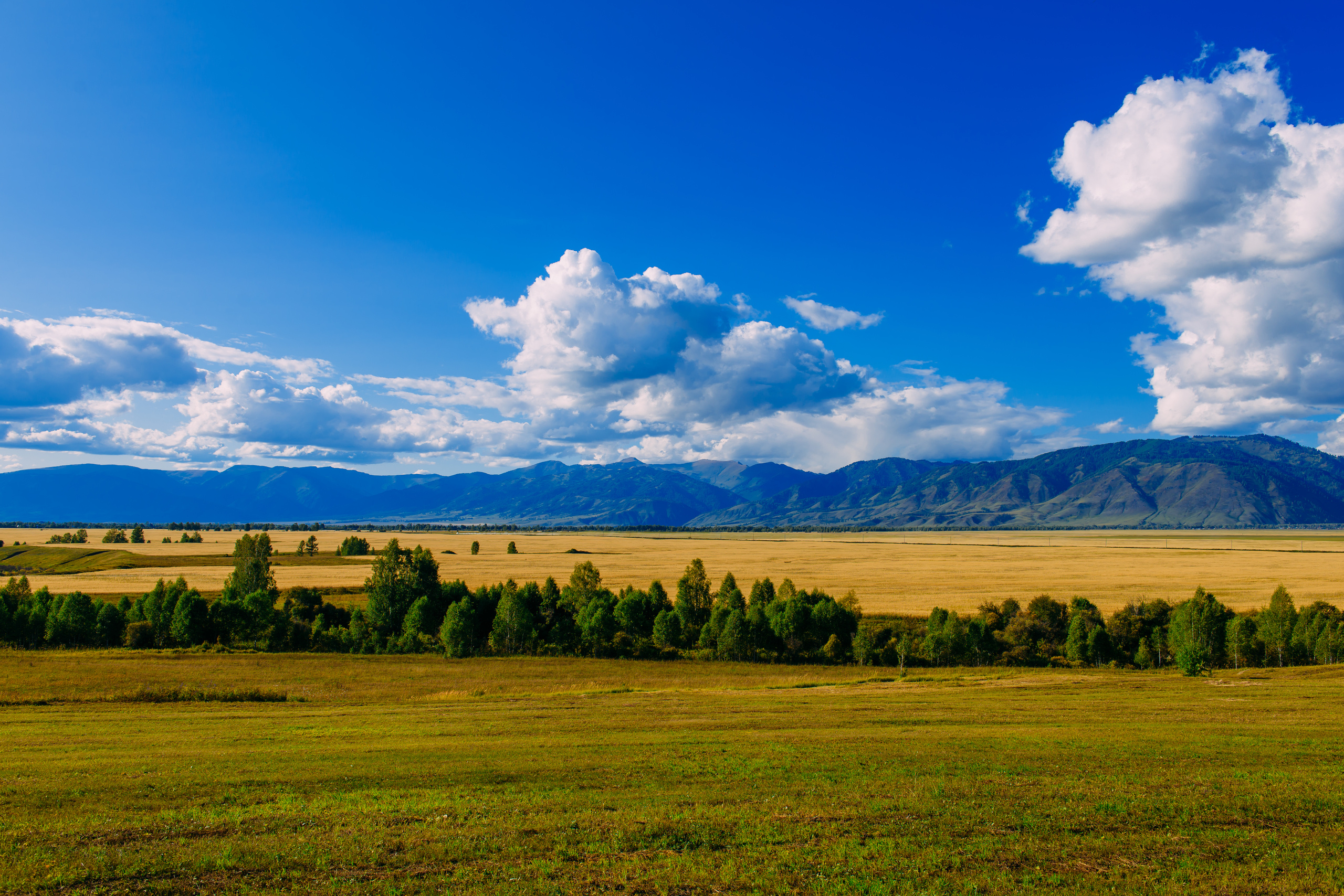 Алтай летом | Altai in summer. Свадебный и семейный фотограф в Новосибирске Александр Счастный