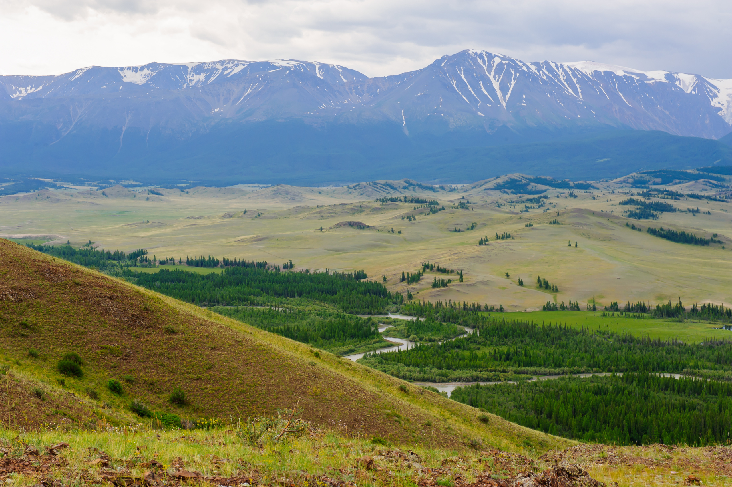 Алтай летом | Altai in summer. Свадебный и семейный фотограф в Новосибирске Александр Счастный