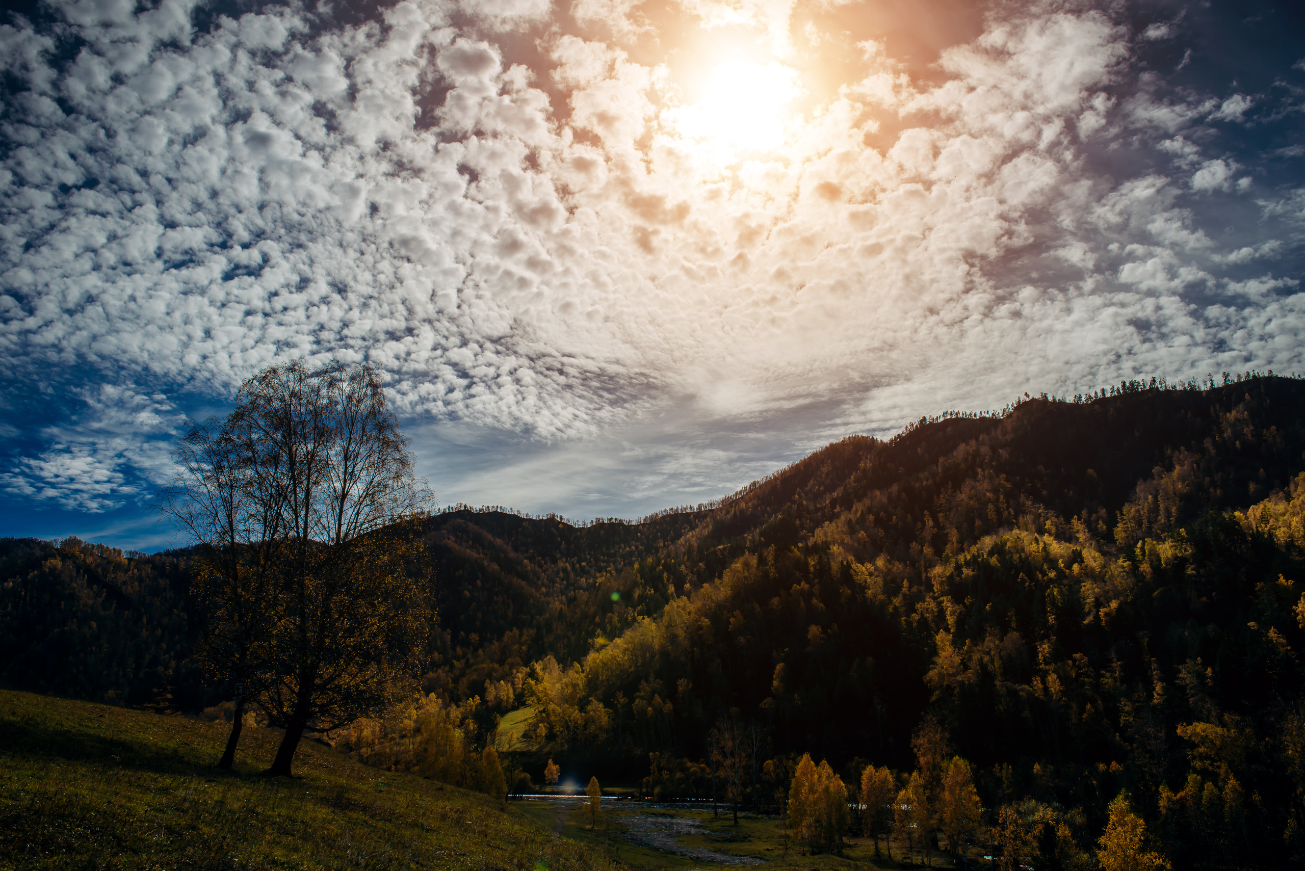 Алтай осенью | Altai in Autumn. Свадебный и семейный фотограф в Новосибирске Александр Счастный