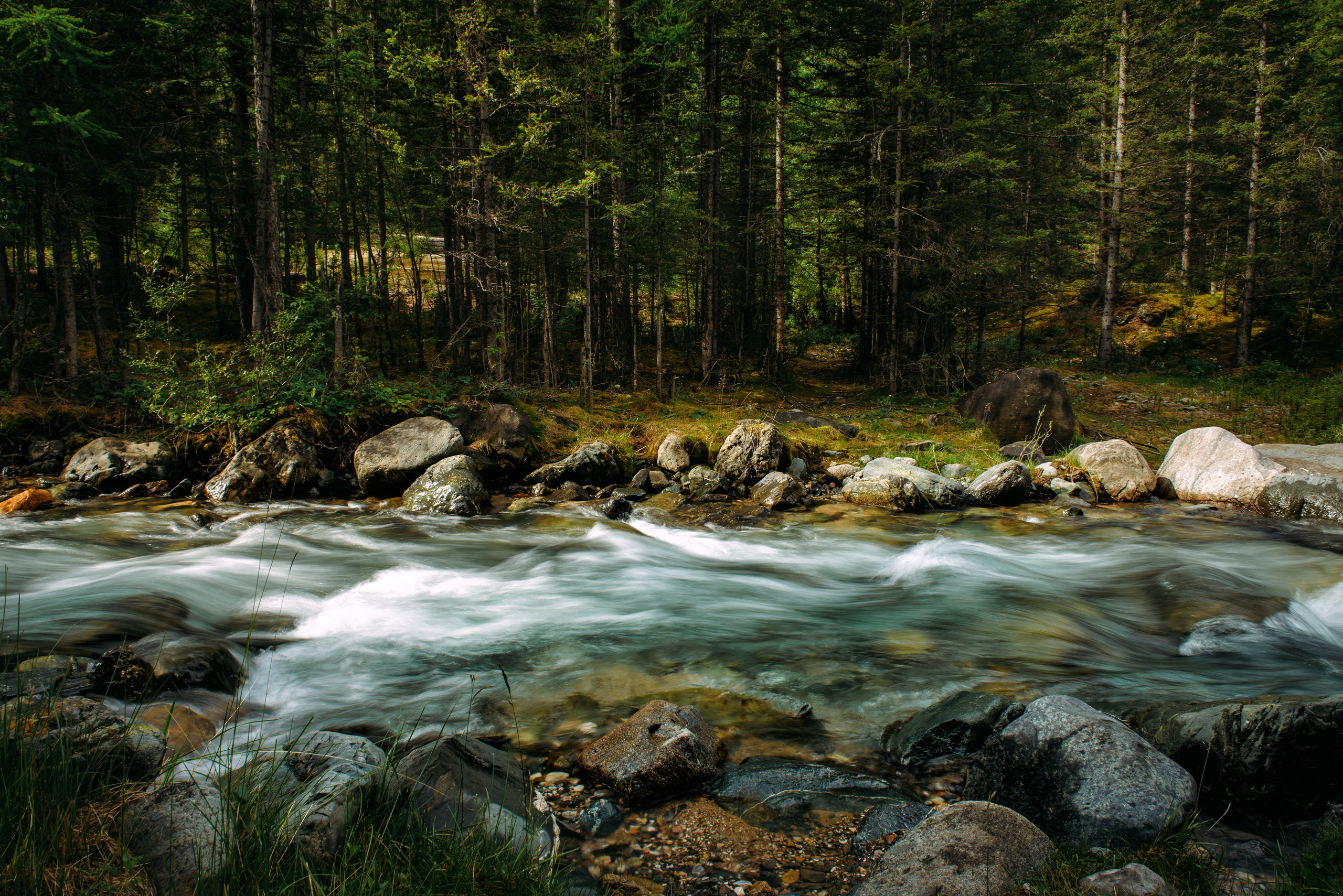Алтай летом | Altai in summer. Свадебный и семейный фотограф в Новосибирске Александр Счастный