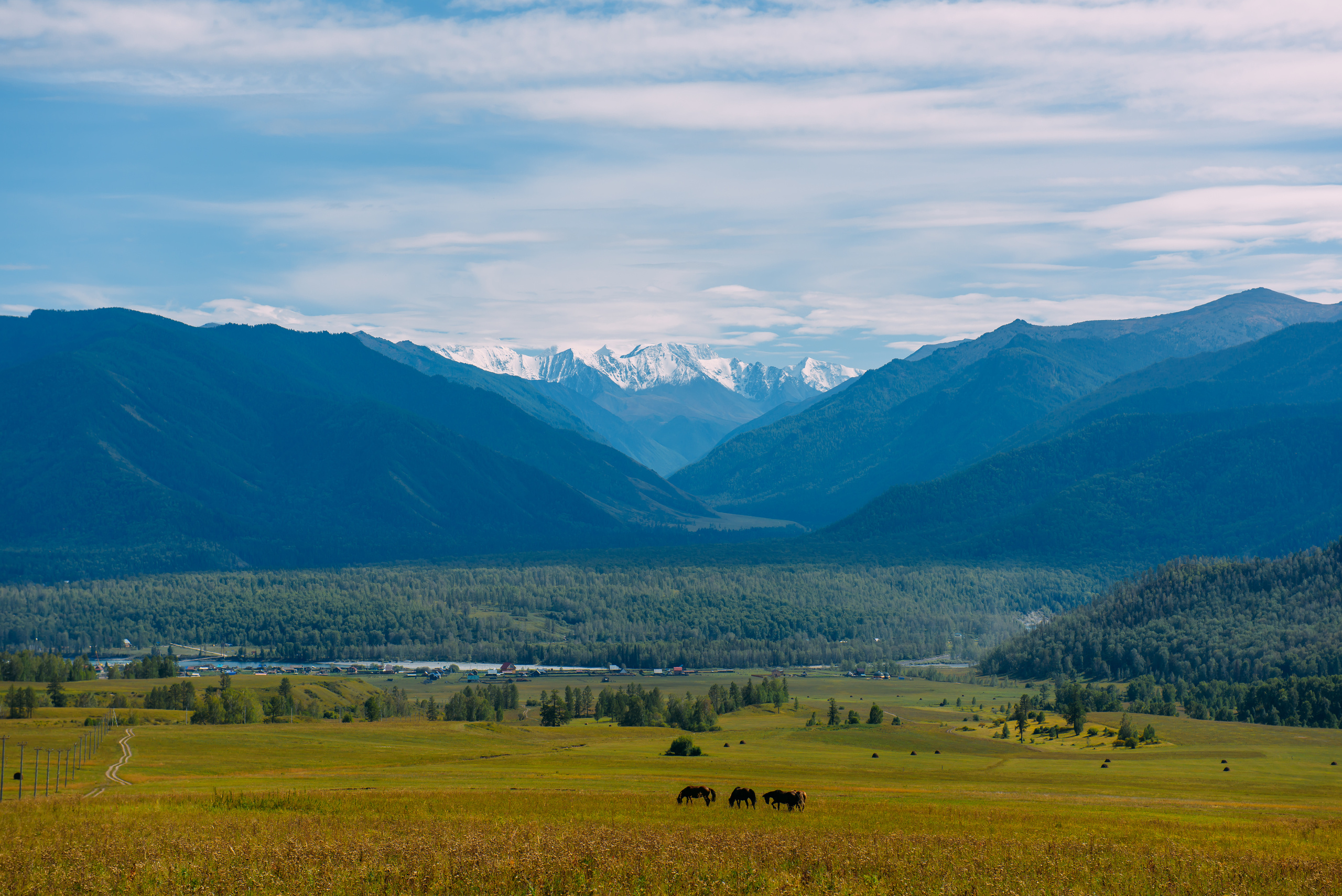 Алтай летом | Altai in summer. Свадебный и семейный фотограф в Новосибирске Александр Счастный
