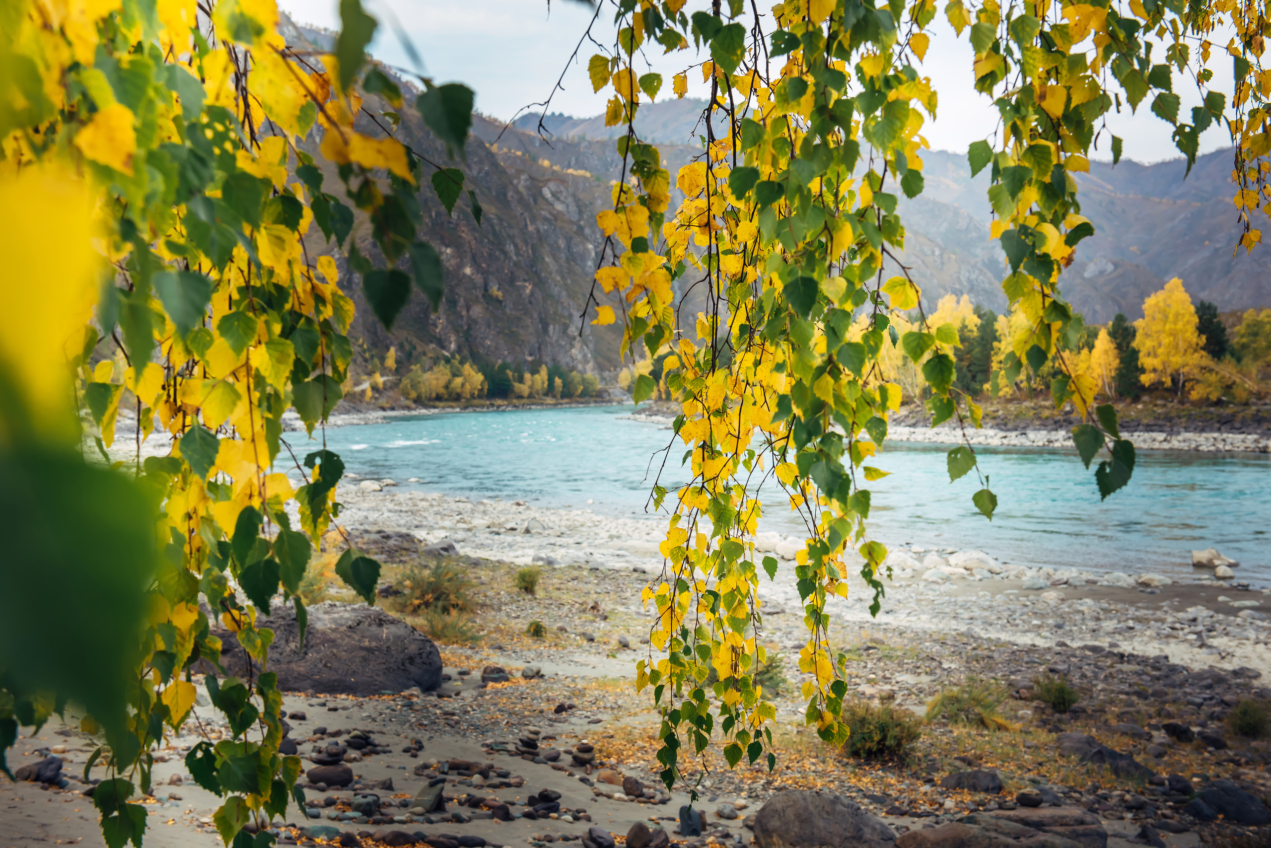 Алтай осенью | Altai in Autumn. Свадебный и семейный фотограф в Новосибирске Александр Счастный