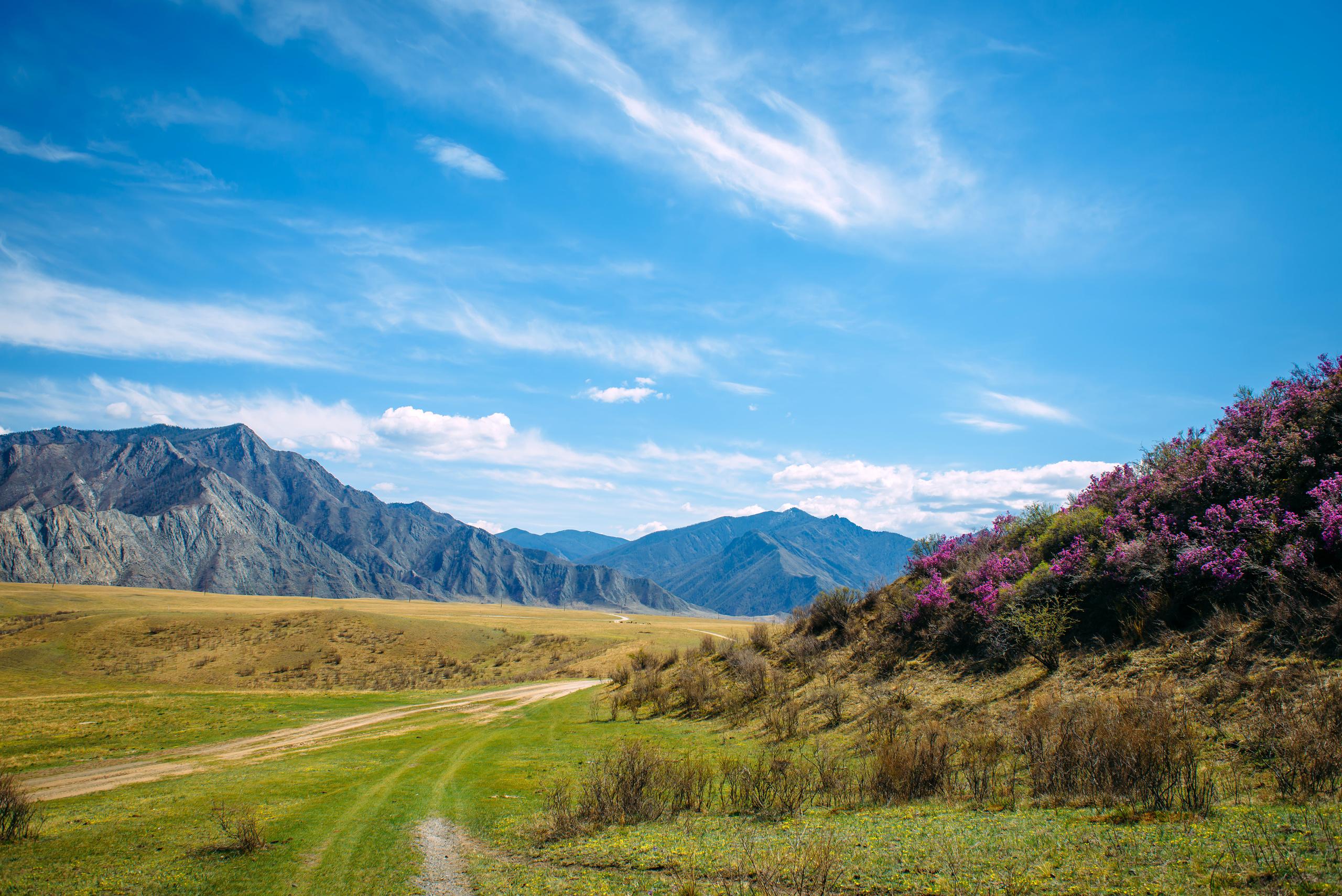 Алтай весной | Altai in spring. Свадебный и семейный фотограф в Новосибирске Александр Счастный