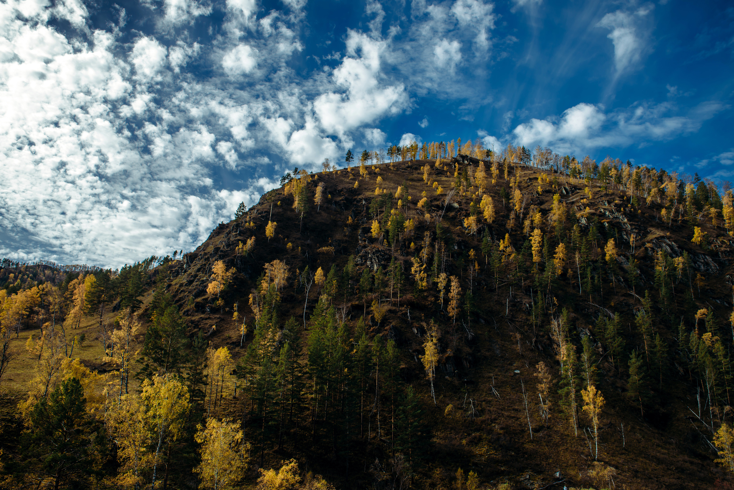 Алтай осенью | Altai in Autumn. Свадебный и семейный фотограф в Новосибирске Александр Счастный