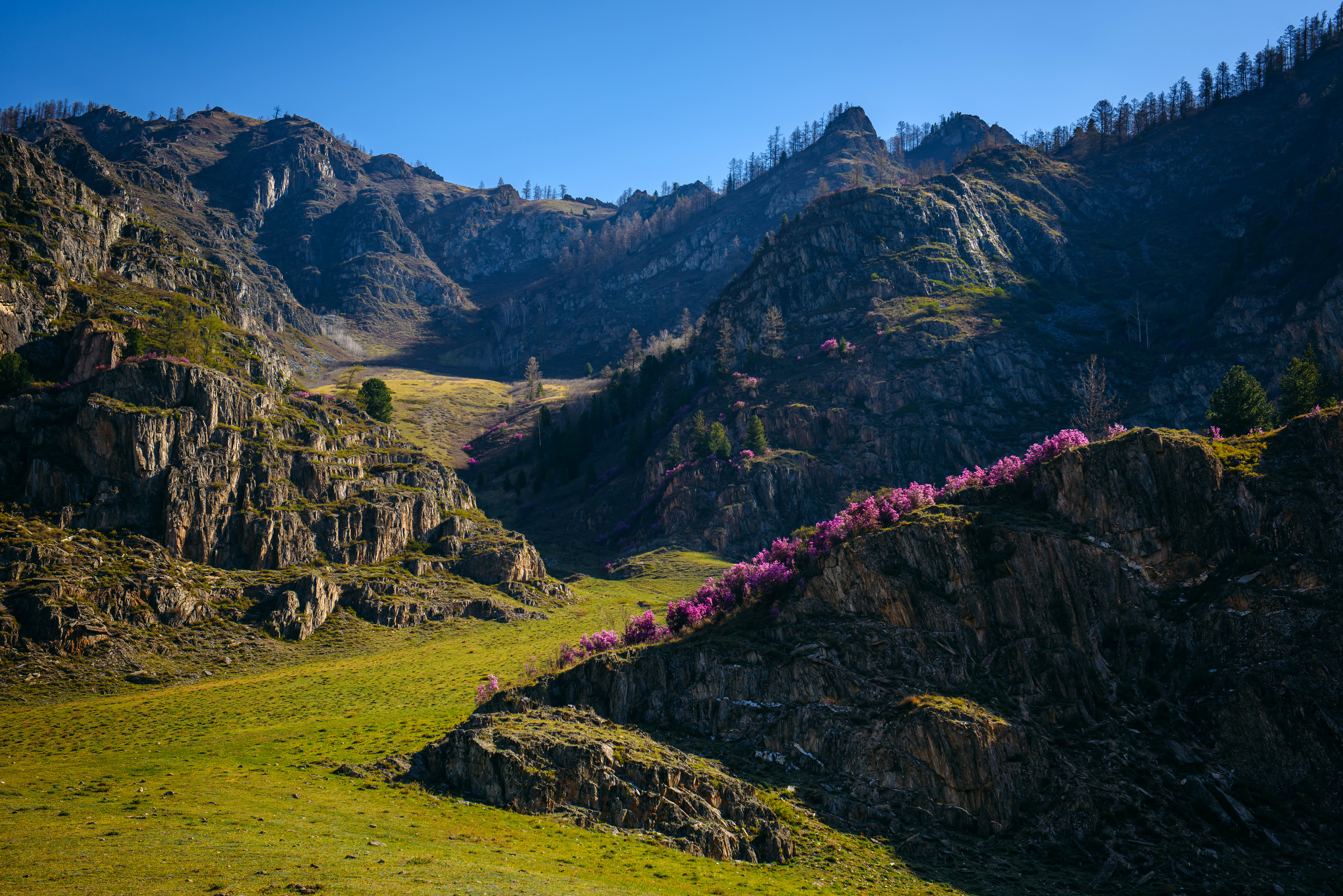 Алтай весной | Altai in spring. Свадебный и семейный фотограф в Новосибирске Александр Счастный