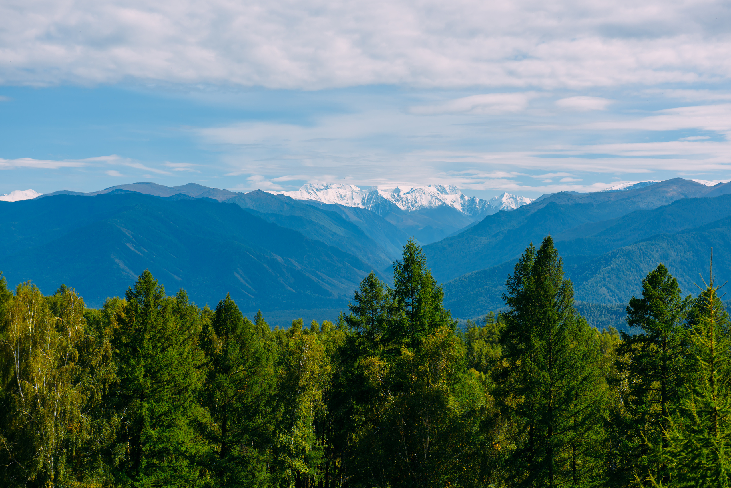 Алтай летом | Altai in summer. Свадебный и семейный фотограф в Новосибирске Александр Счастный