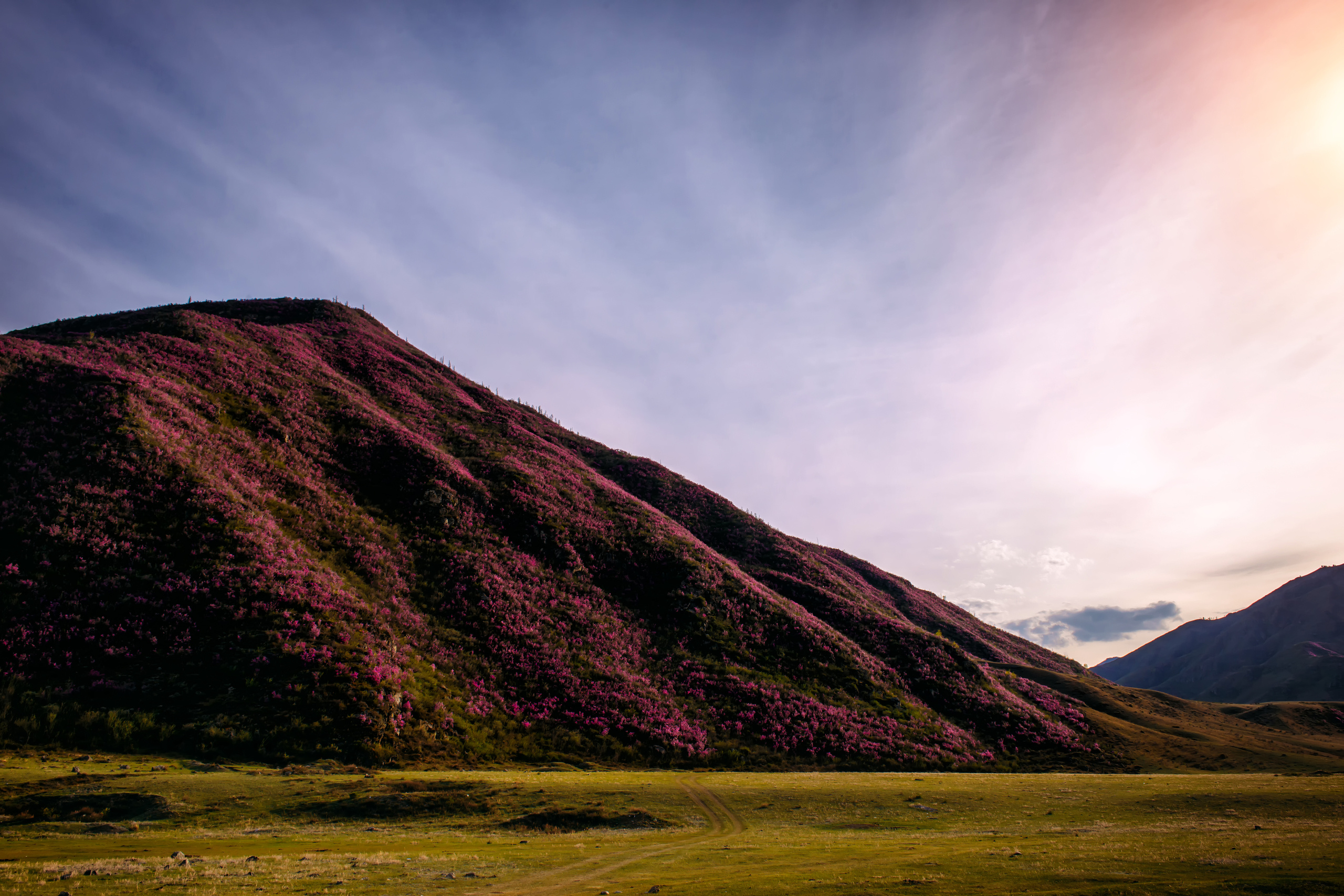 Алтай весной | Altai in spring. Свадебный и семейный фотограф в Новосибирске Александр Счастный
