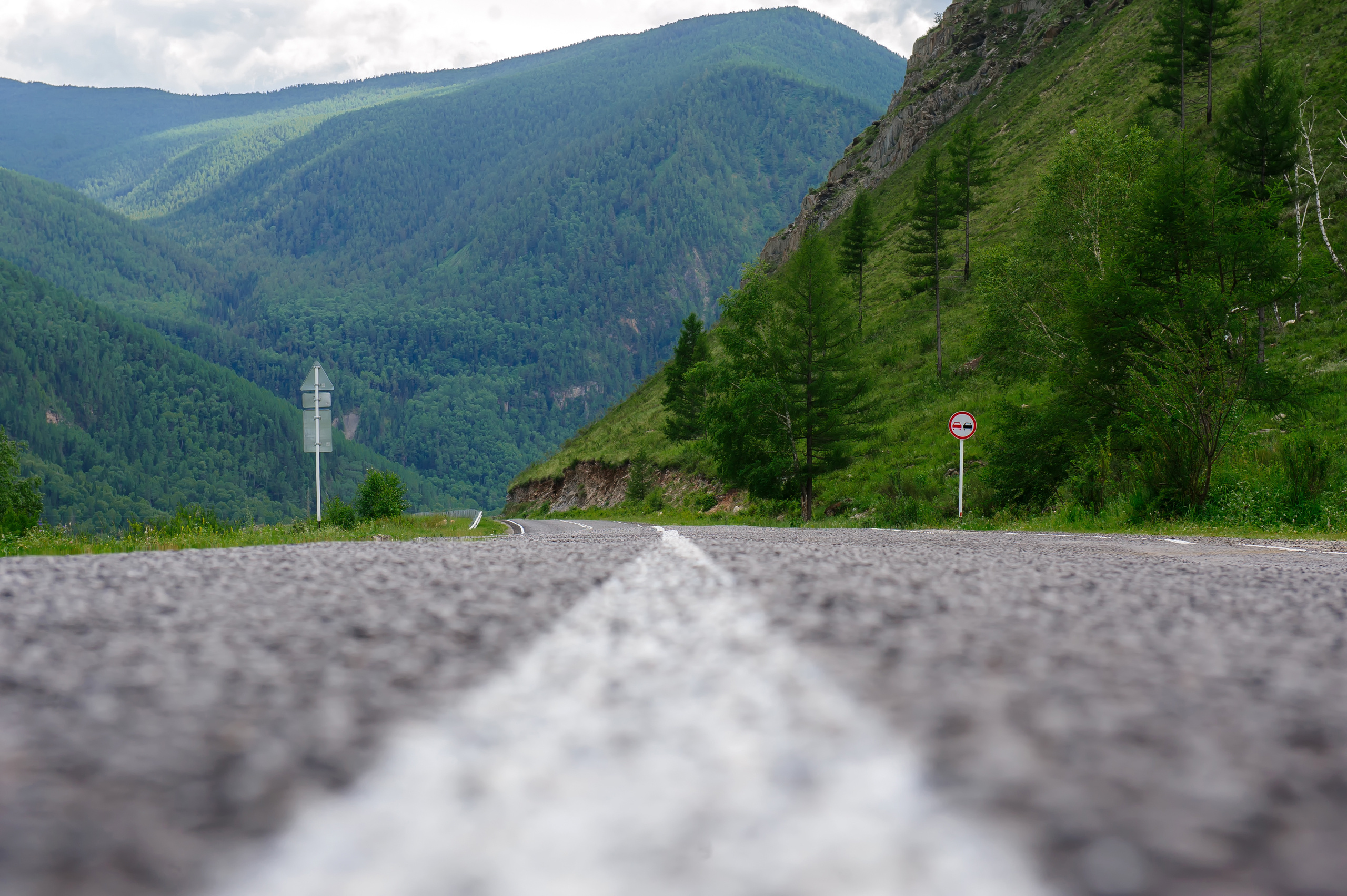 Алтай летом | Altai in summer. Свадебный и семейный фотограф в Новосибирске Александр Счастный