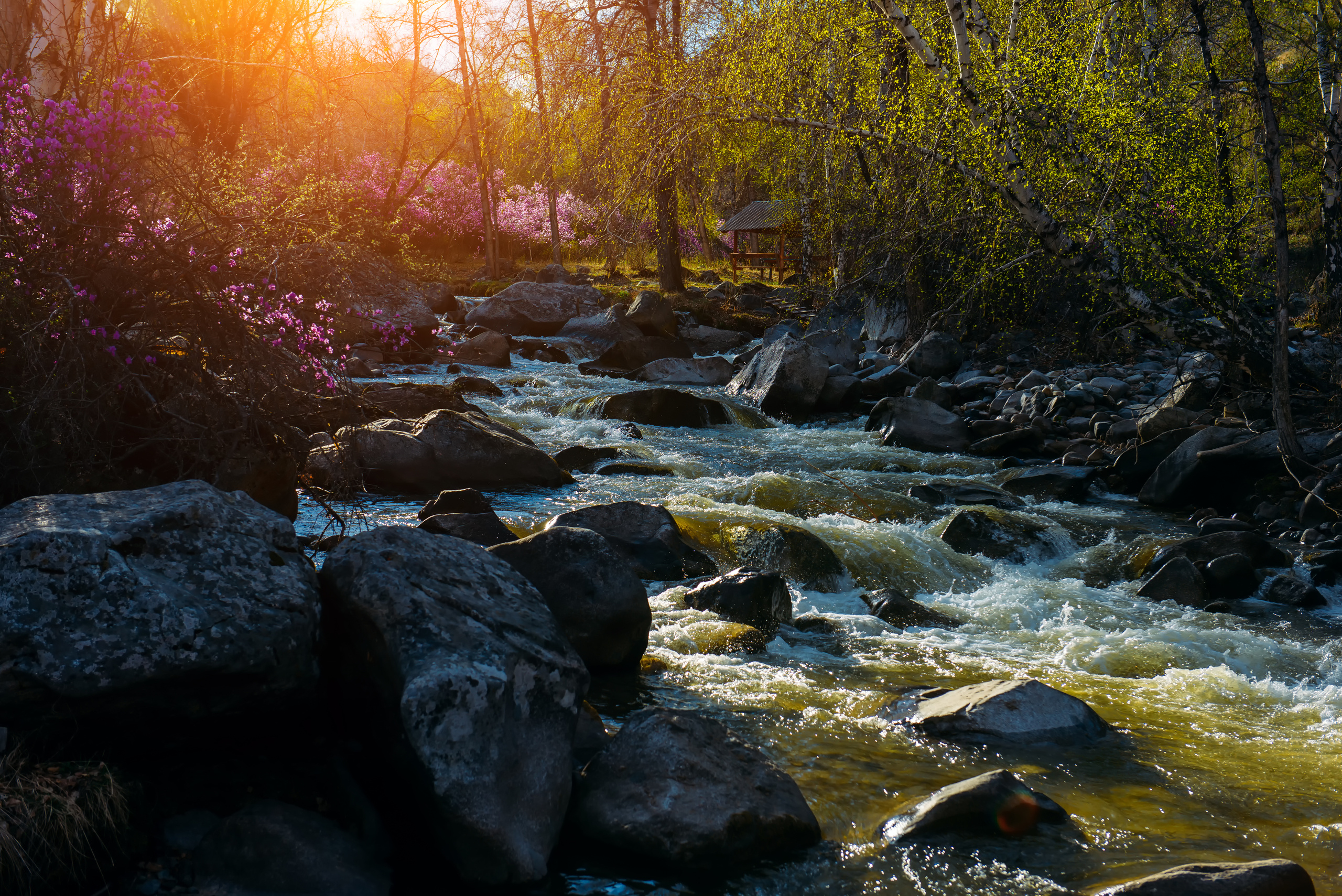 Алтай весной | Altai in spring. Свадебный и семейный фотограф в Новосибирске Александр Счастный