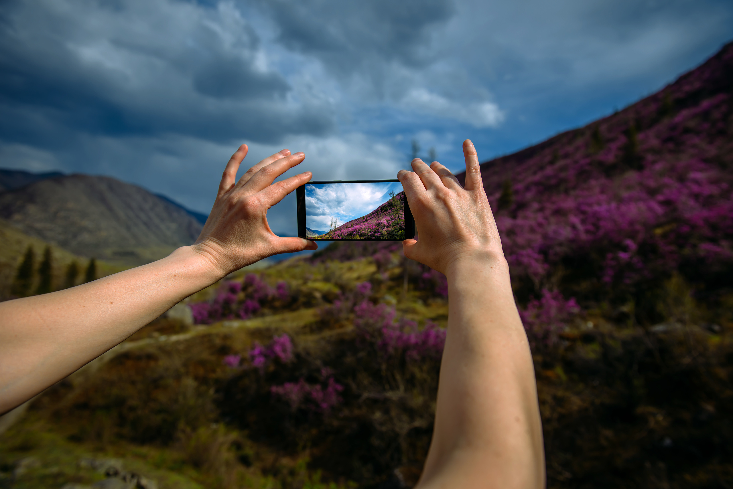 Алтай весной | Altai in spring. Свадебный и семейный фотограф в Новосибирске Александр Счастный